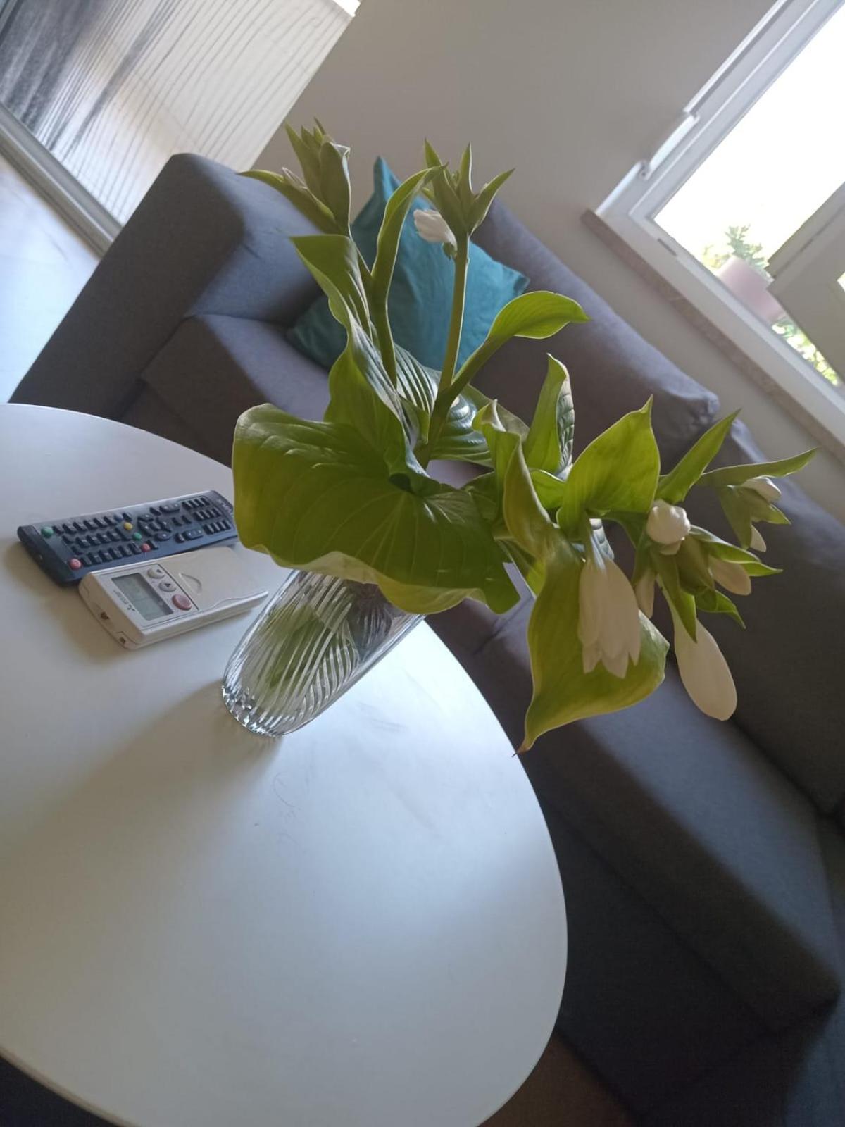 Apartman Leona1