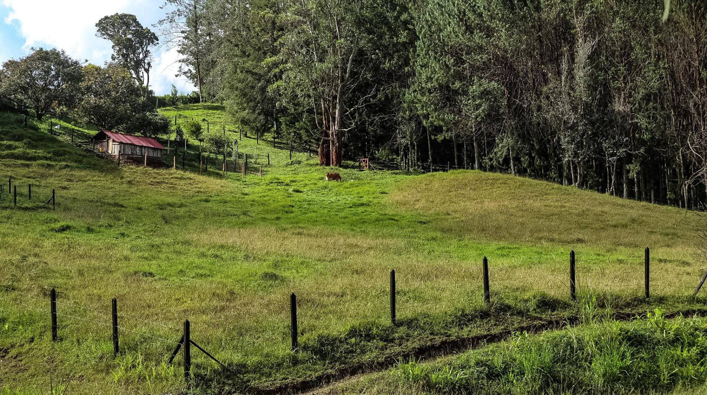 Casa campestre con todas las comodidades!