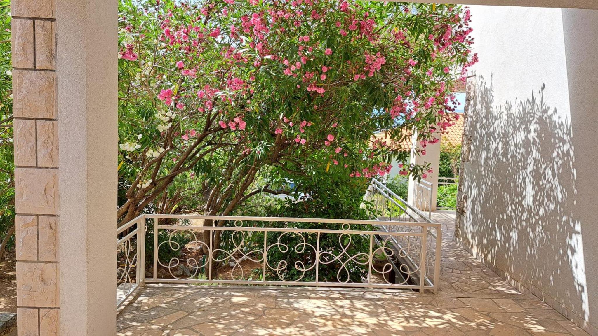Villa Timić view 4