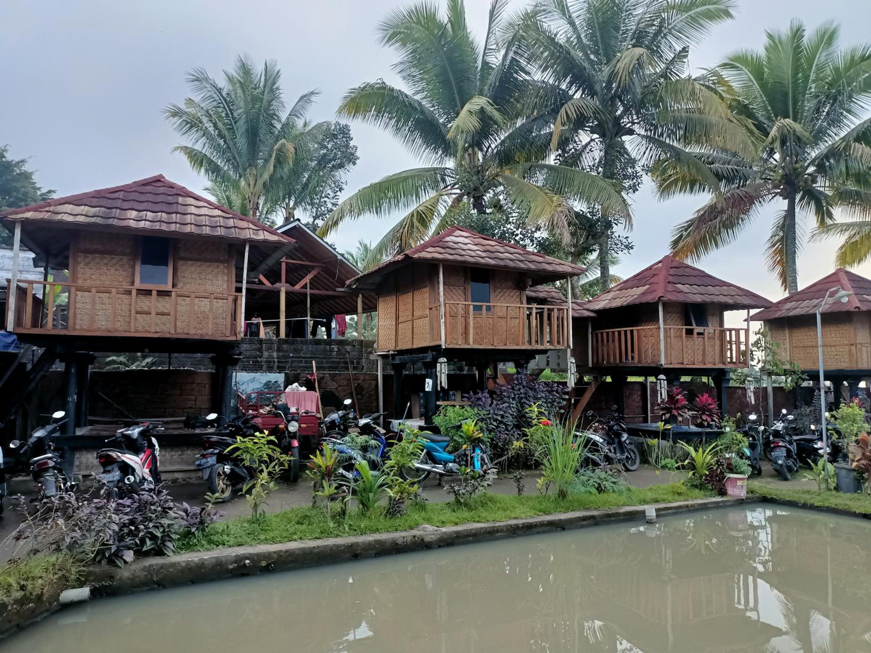 Noor Homestay Tetebatu view 2