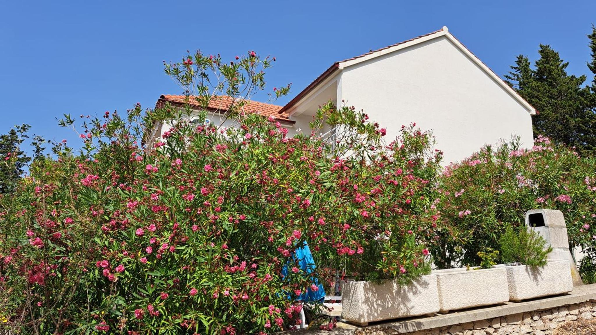Villa Timić view 2