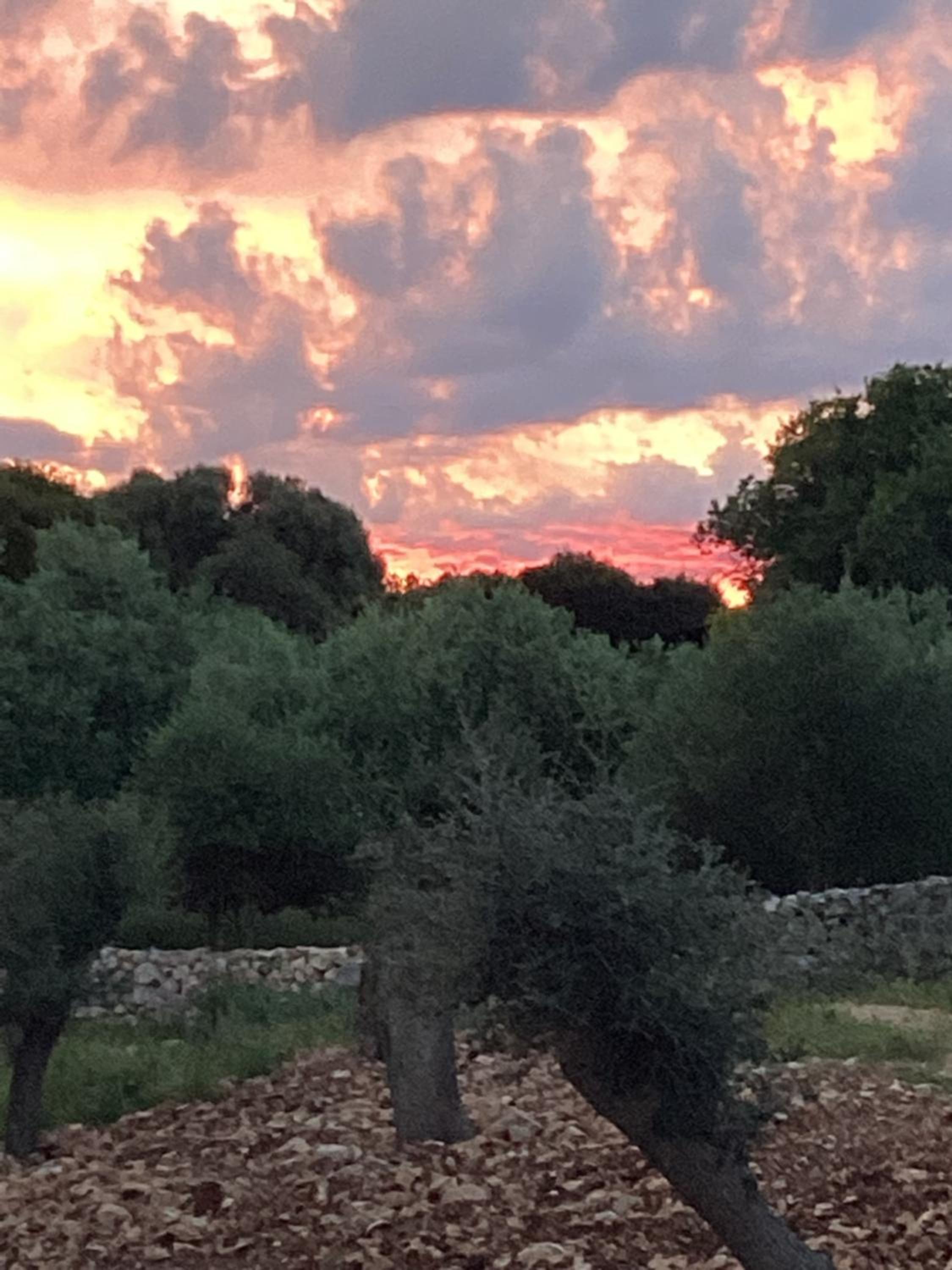 Villa Croatia Heaven