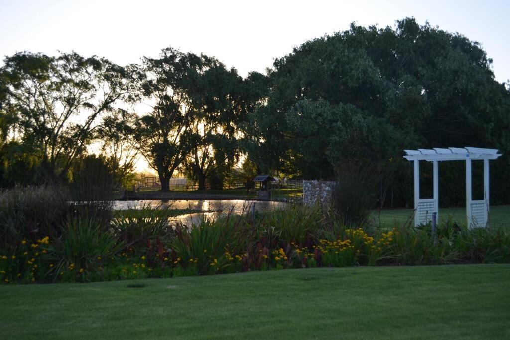 Winecellar Cave, on wine farm & where lions roar! view 5