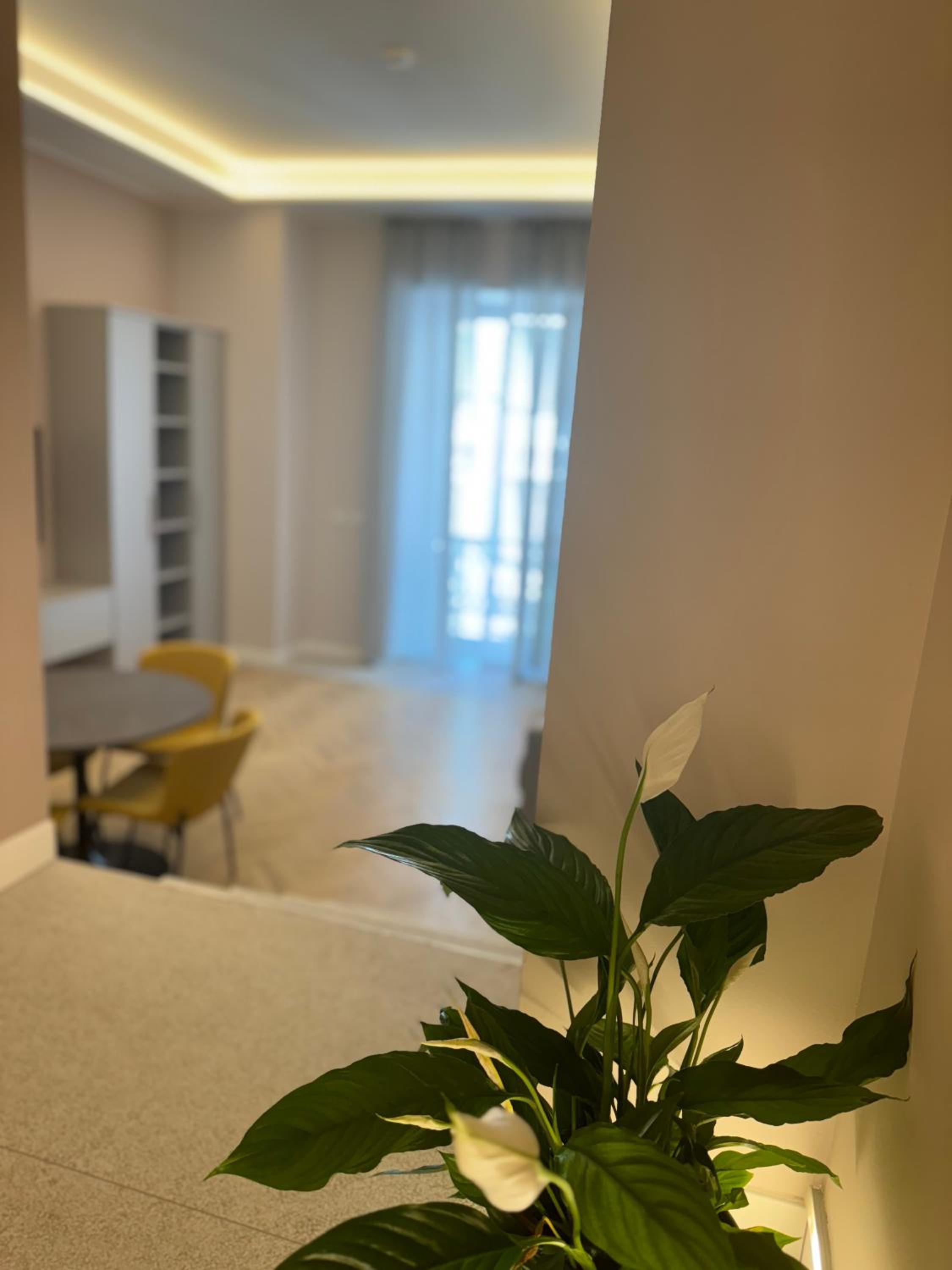 HOMEY I Teatro Romano Apartments