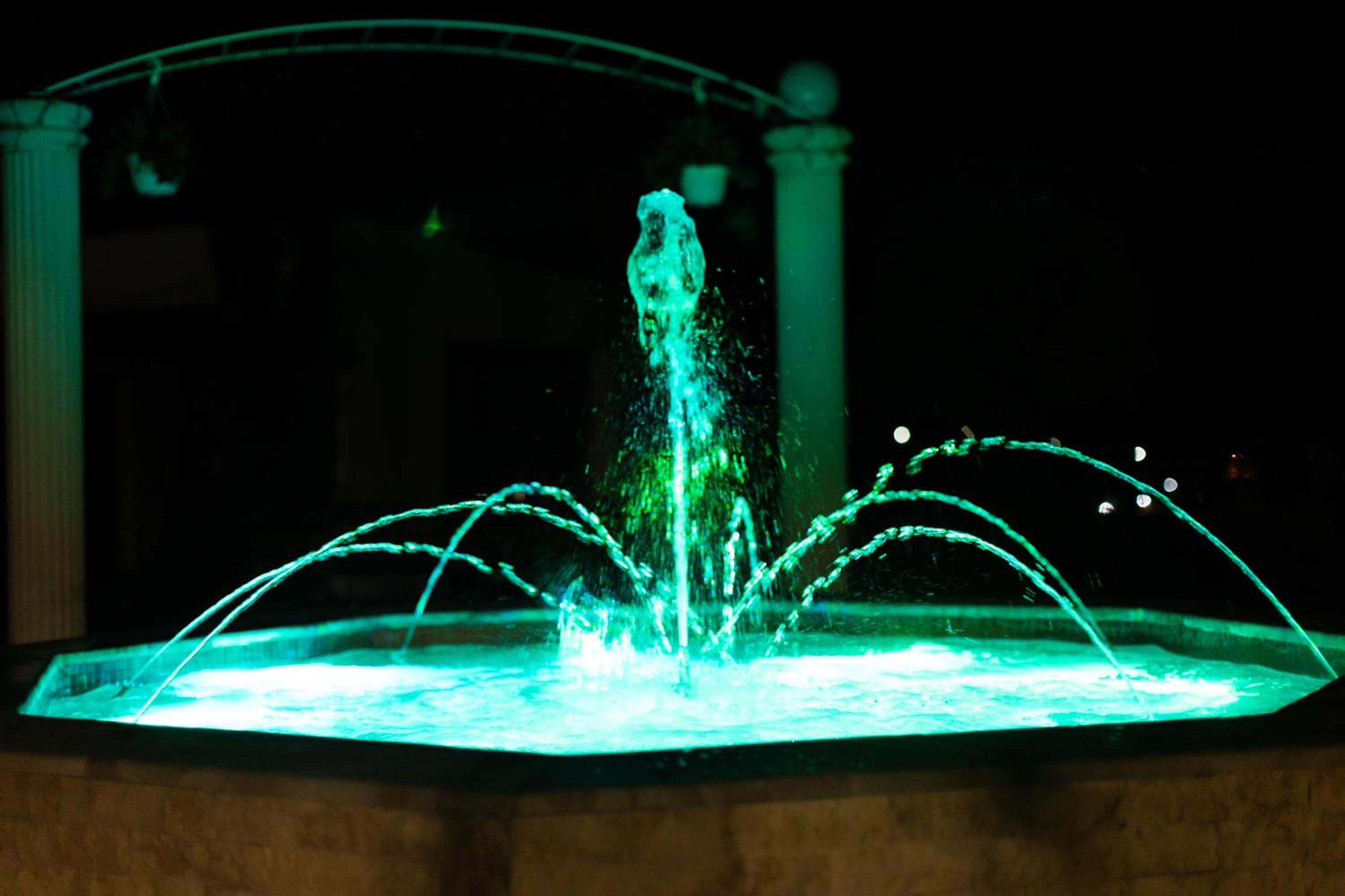 Photo 44