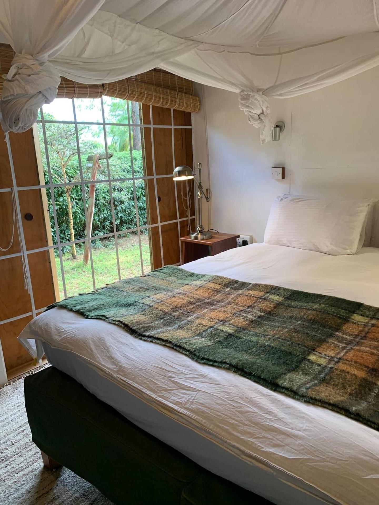 Mabati House Eco-Design Retreat in Wildlife view 2