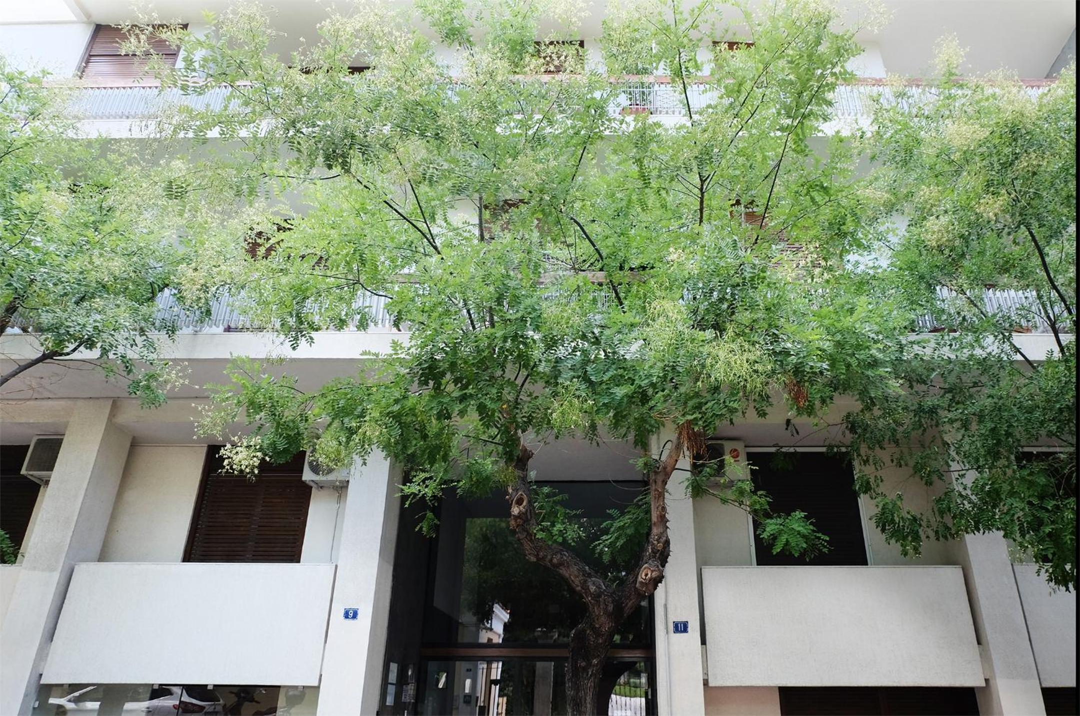 Your Haven in Kolonaki - Didotou 1Br
