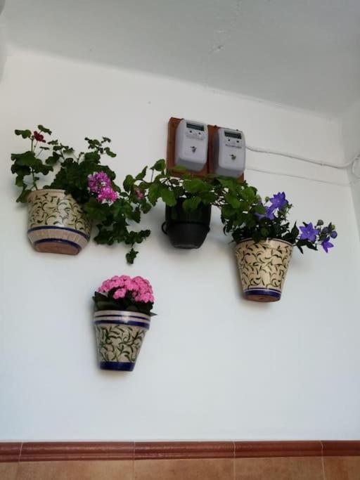 La Casita