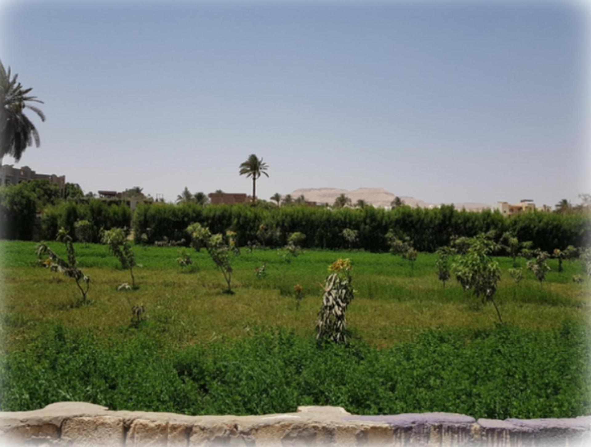 Harmony Villas Sleeps 4 with Garden