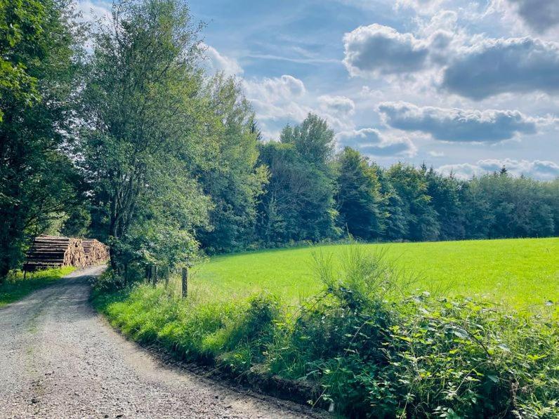 LandschaftsTräume