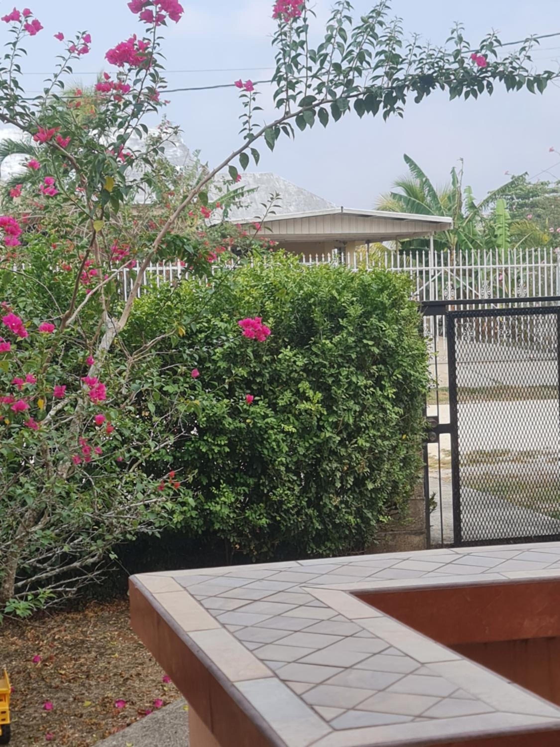 GM Suites Bed & Breakfast view 3