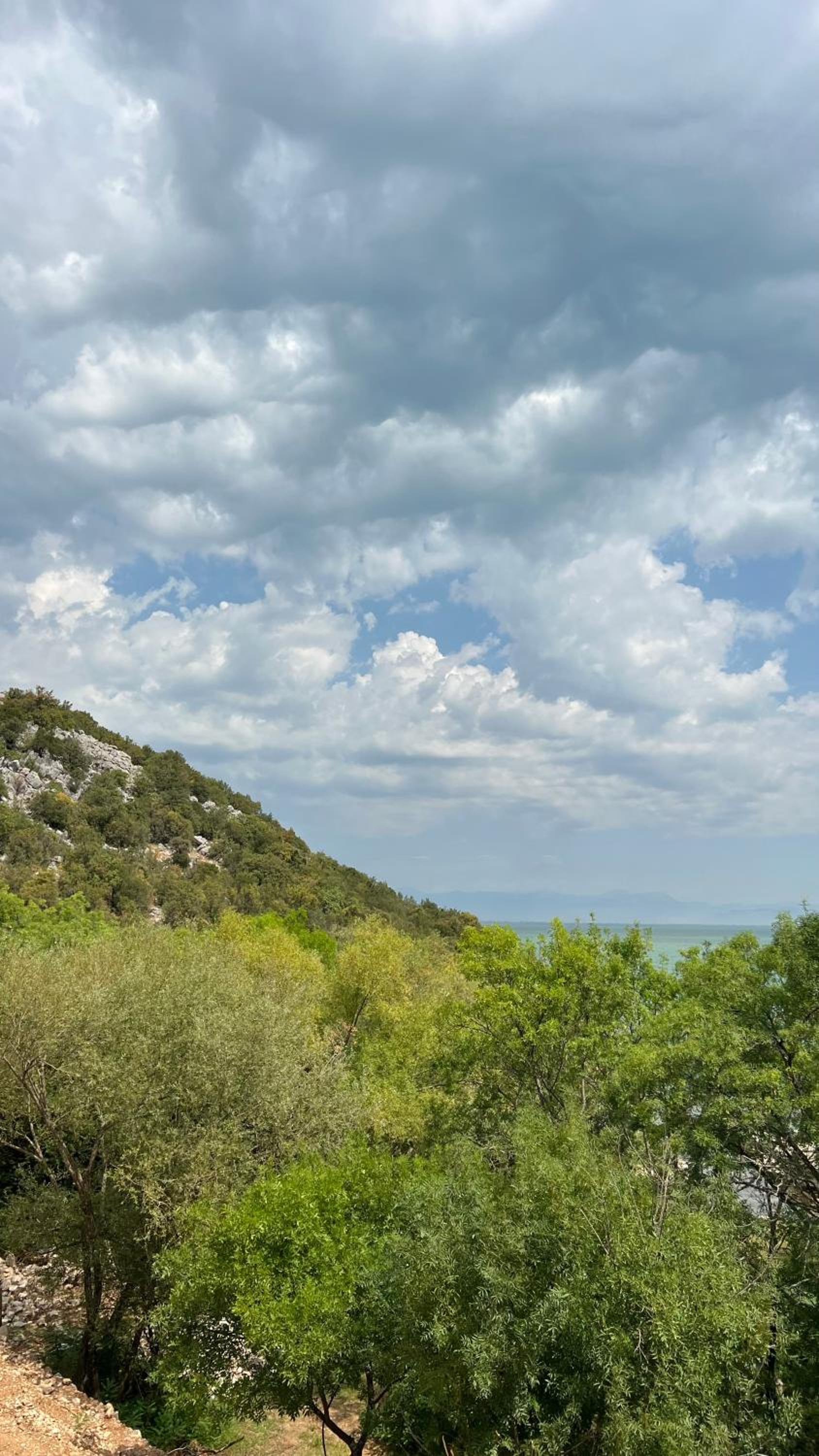 Luxury Village Murici