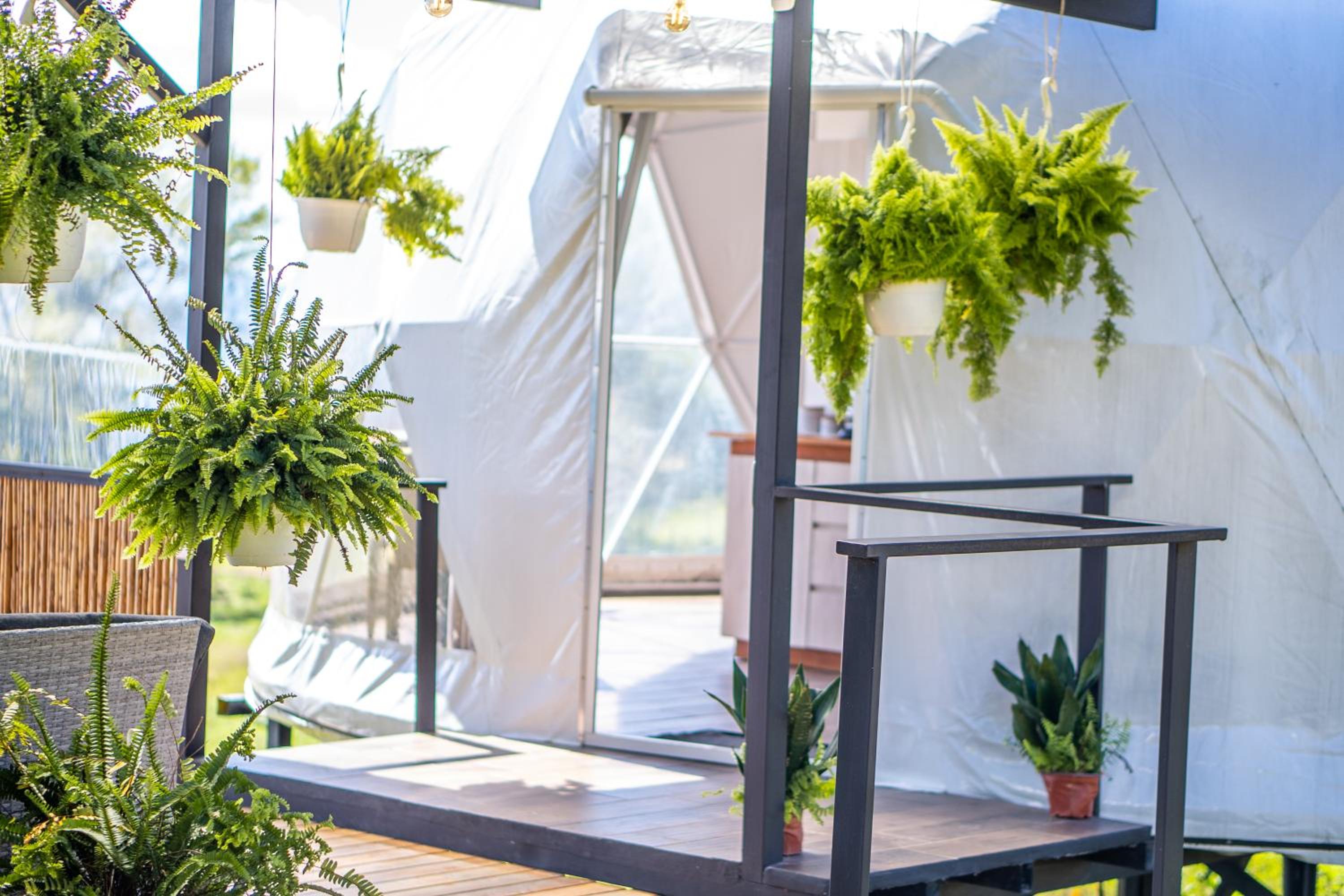 Tocuma Glamping