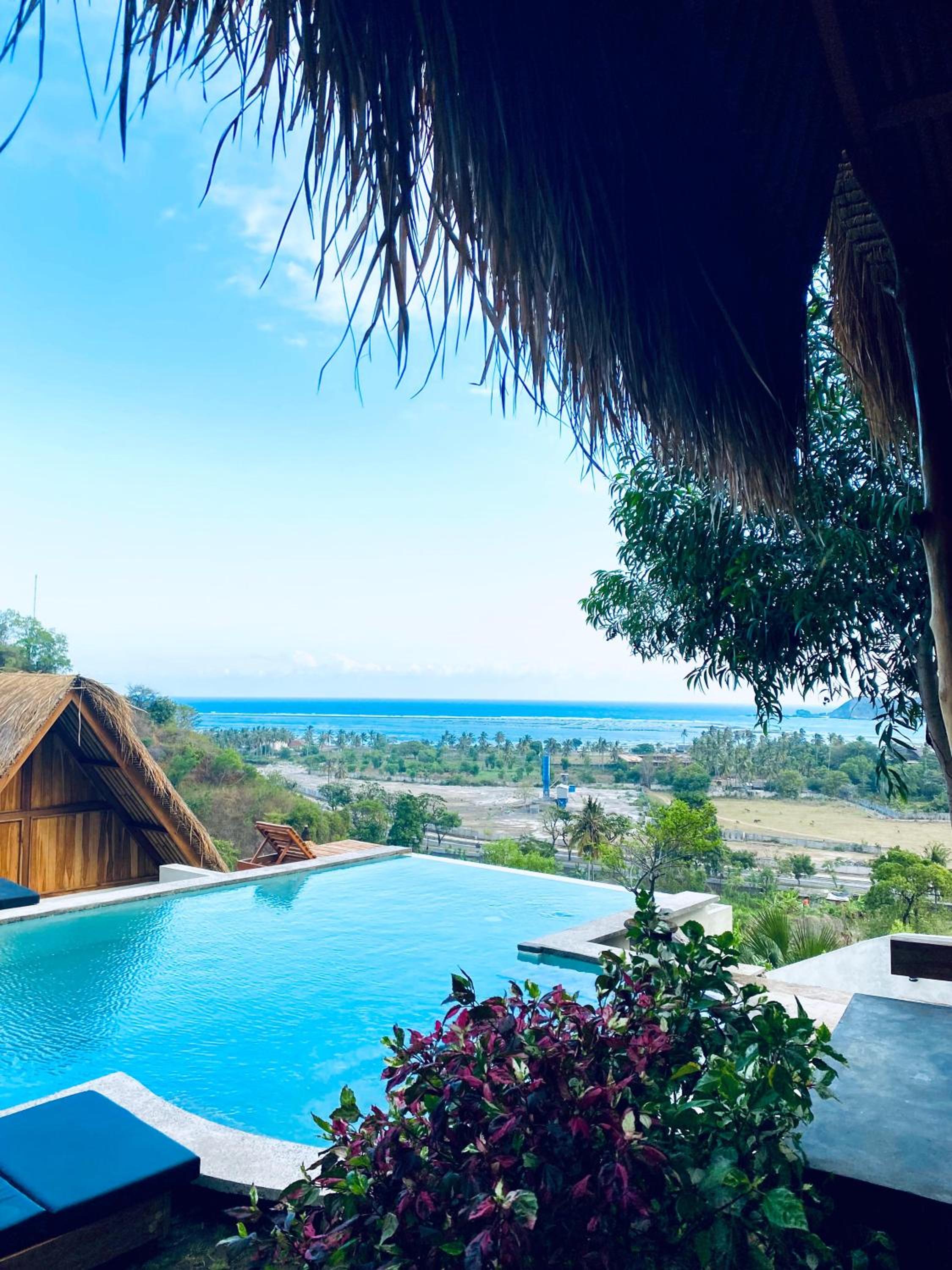 Palm Green Hotel view 3