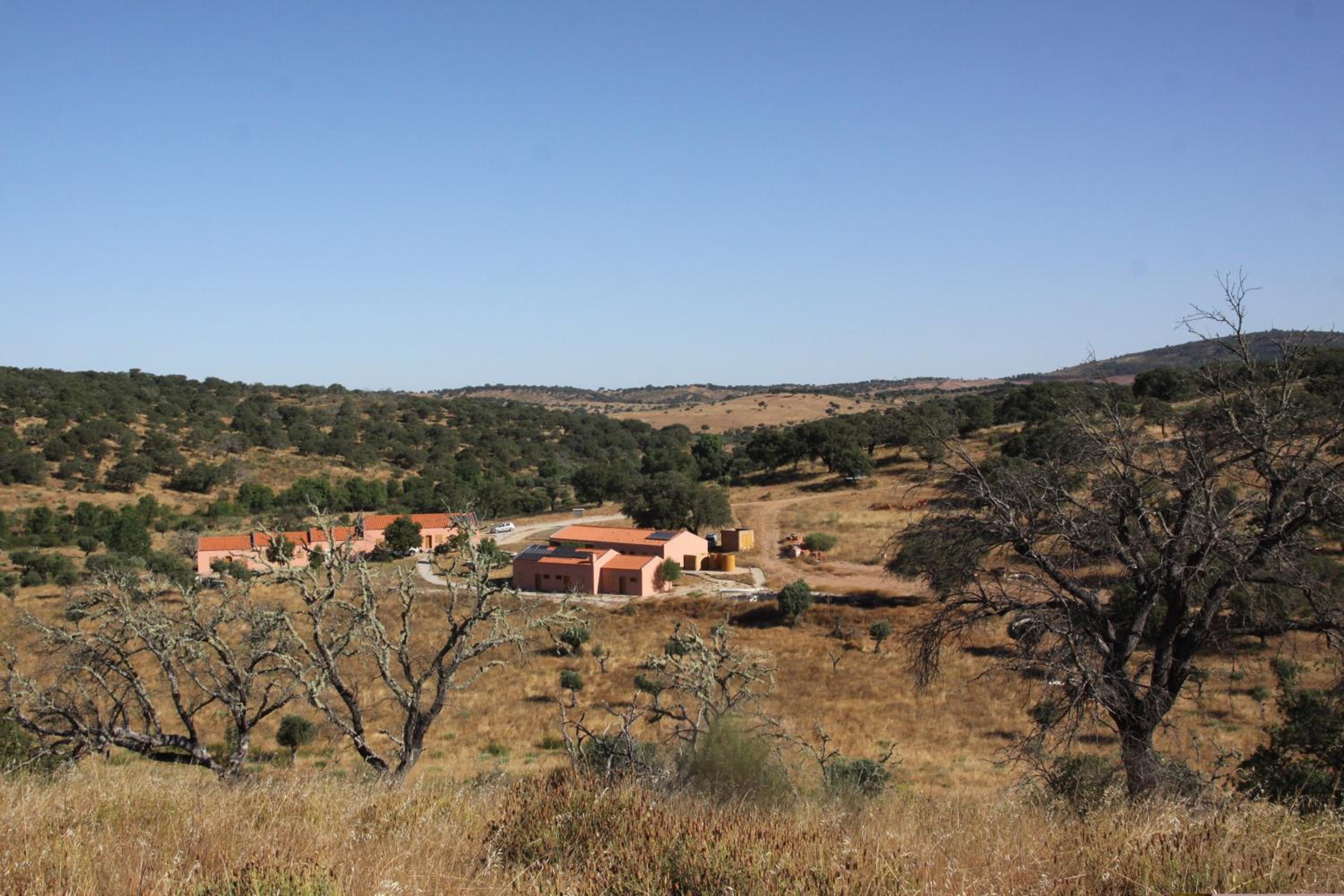 Monte Barata WildLife Tourism