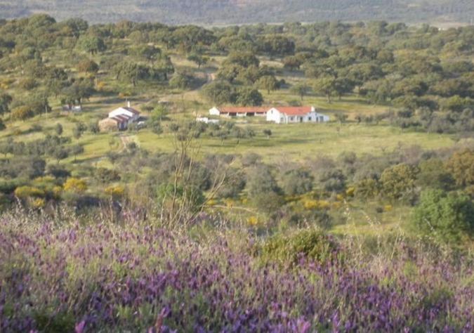 Monte Barata WildLife Tourism