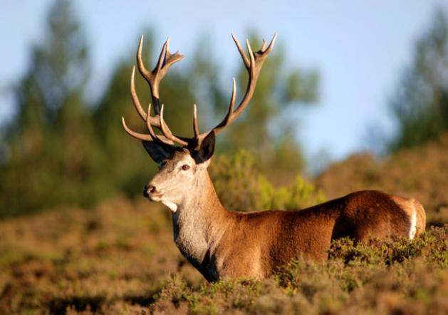 Monte Barata WildLife Tourism