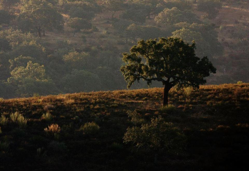 Monte Barata WildLife Tourism