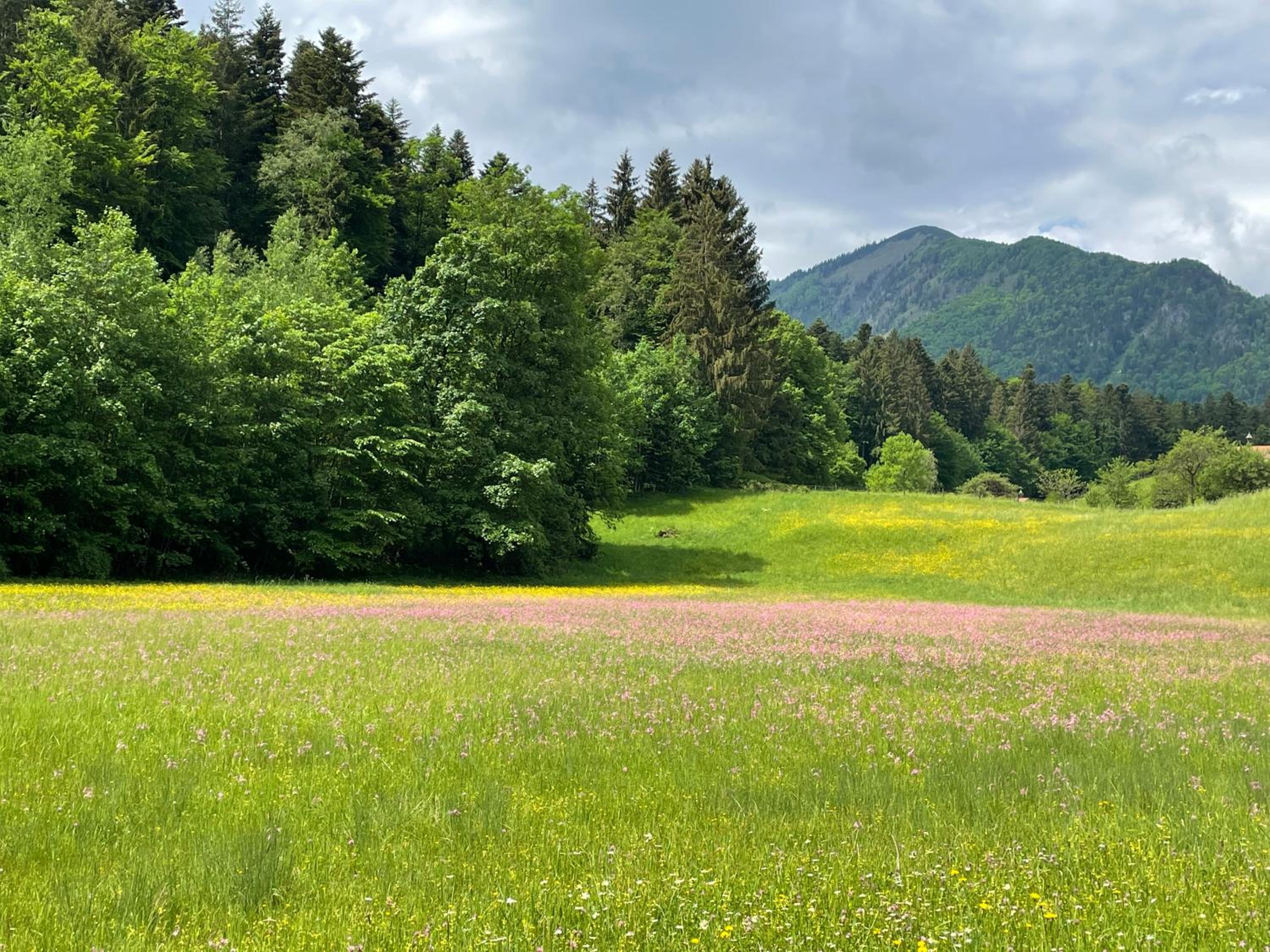 Laimgruber Hof - Naturresidenz