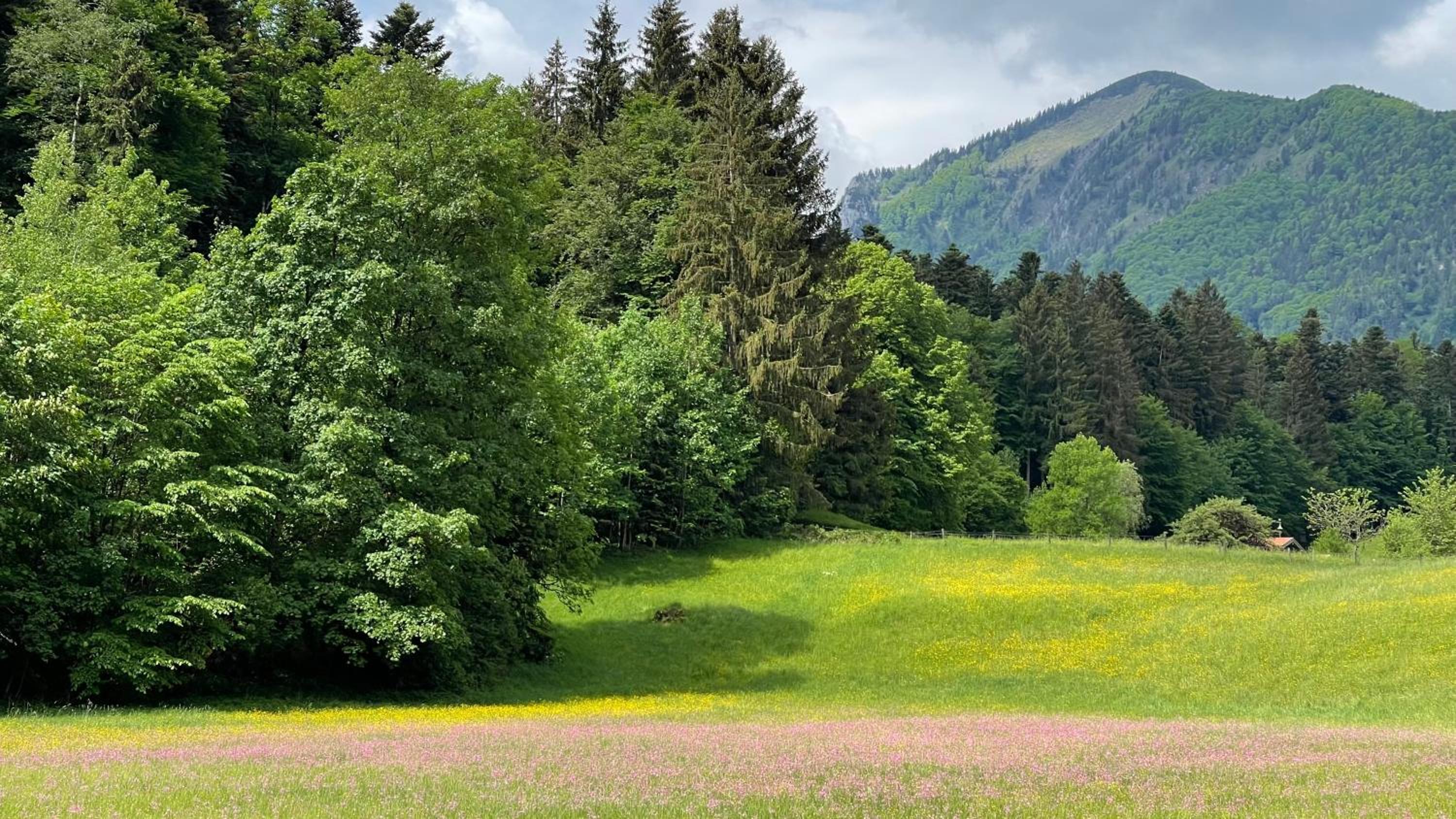 Laimgruber Hof - Naturresidenz