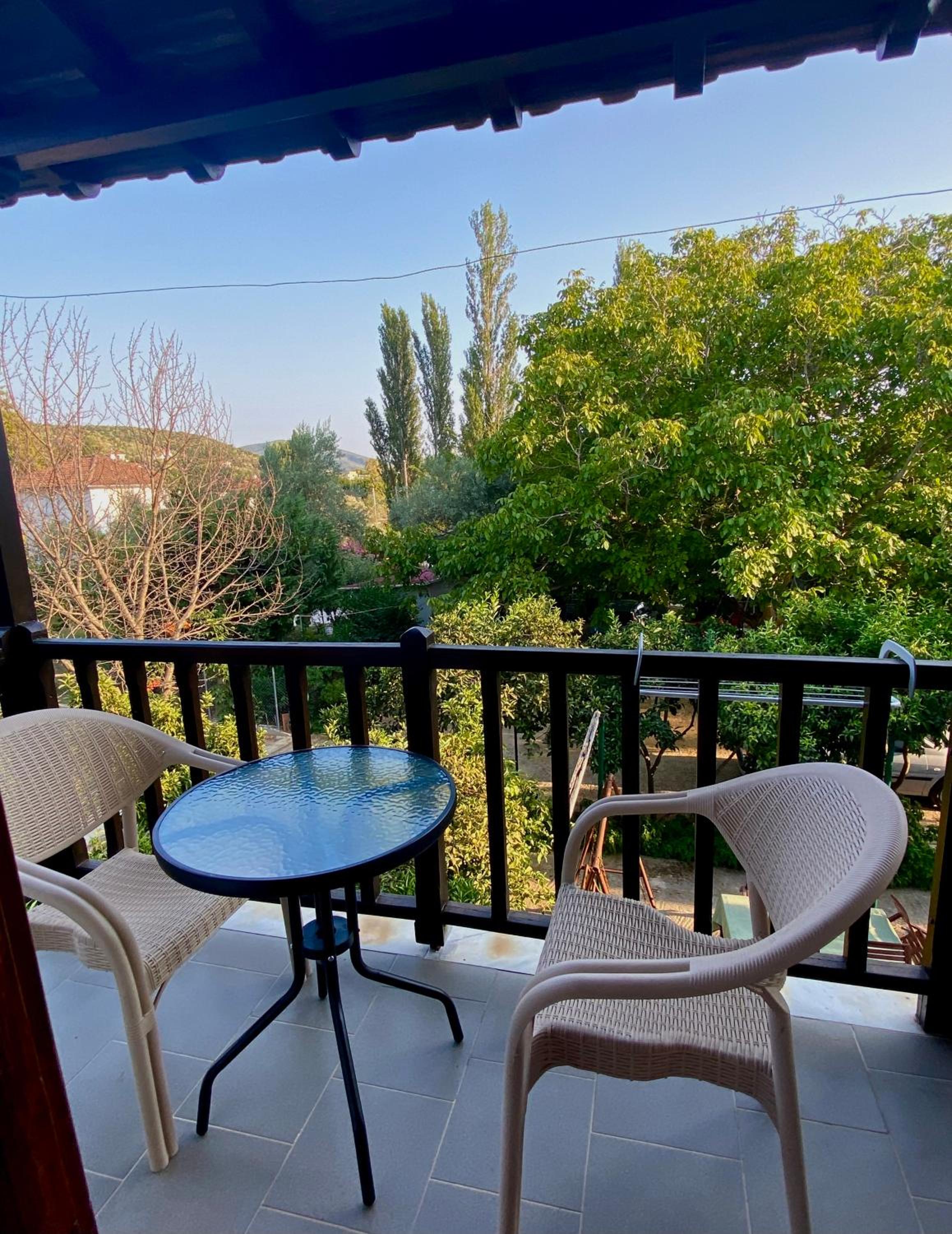 Zirganos Horton Pelion Apartment view 4