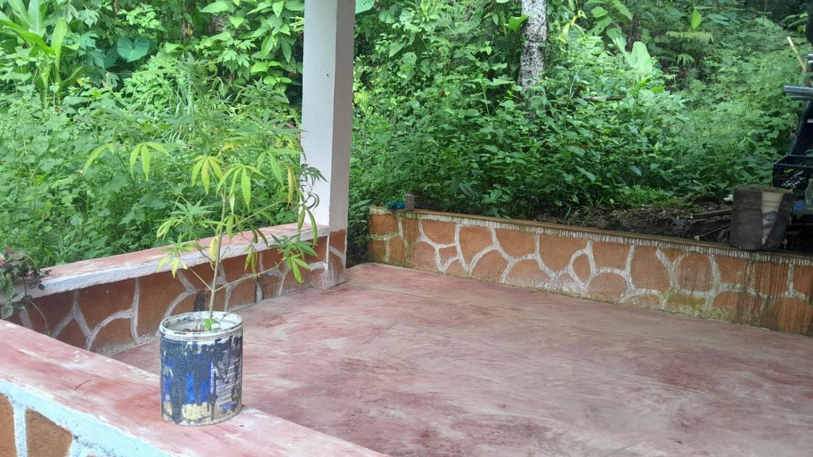 Hostal la gran ceci