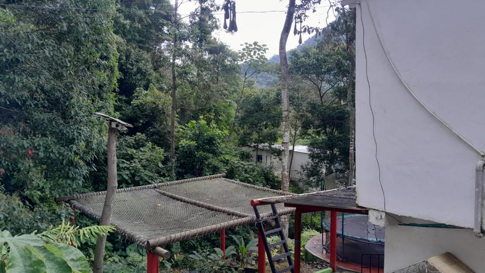 Hostal la gran ceci
