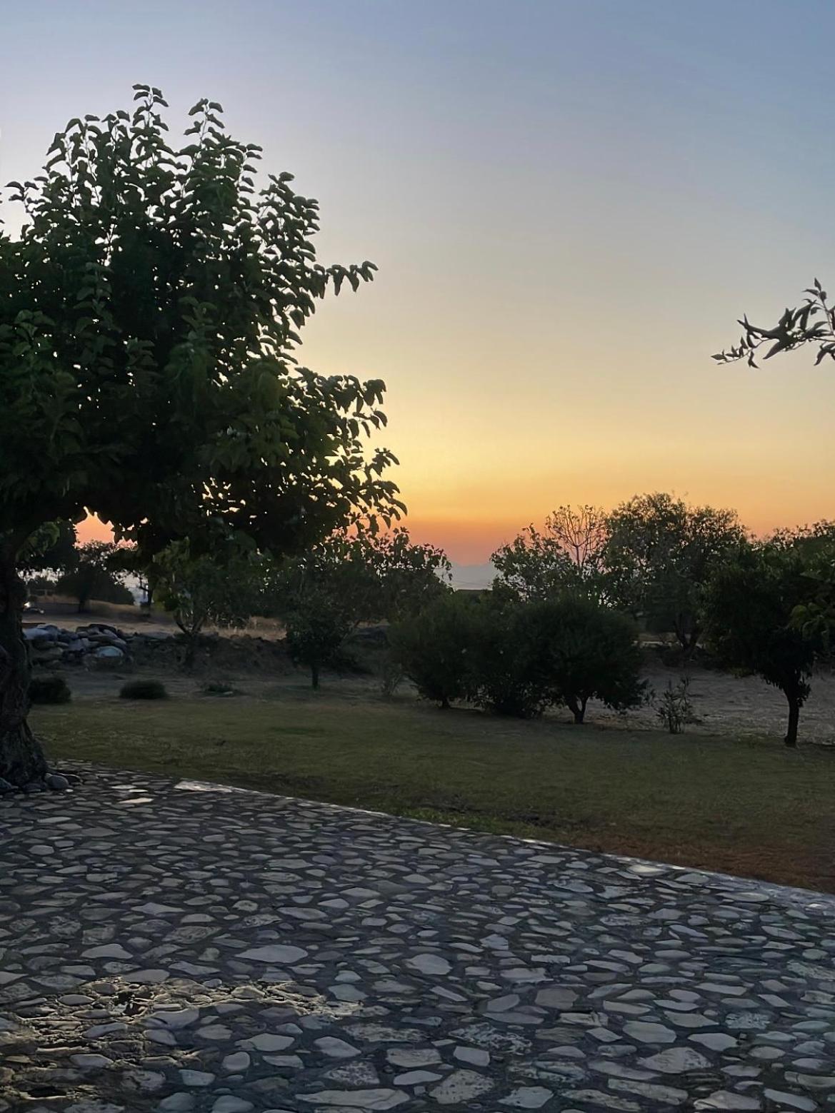 The Stone Cottage Kos photo 4