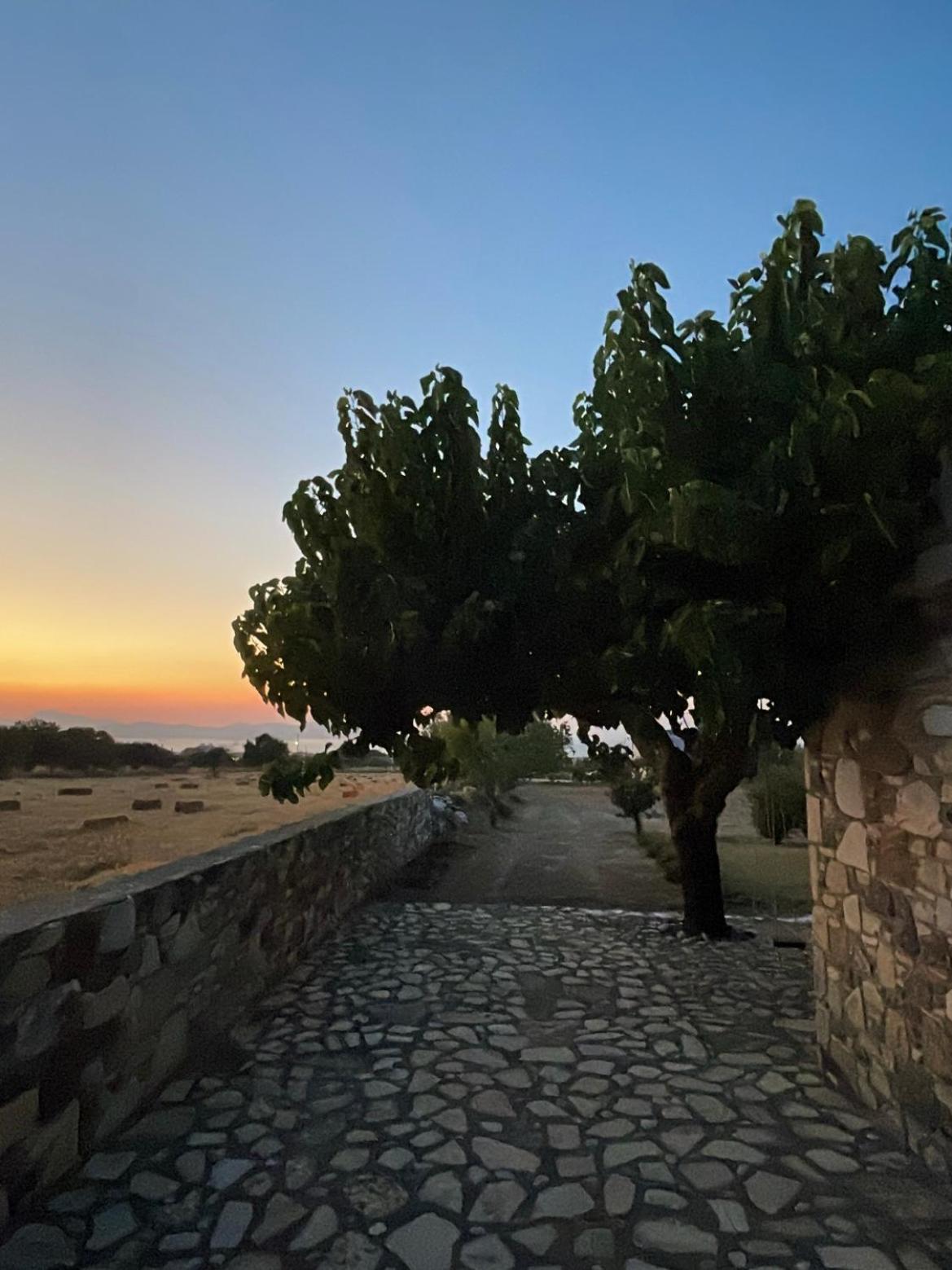 The Stone Cottage Kos photo 5