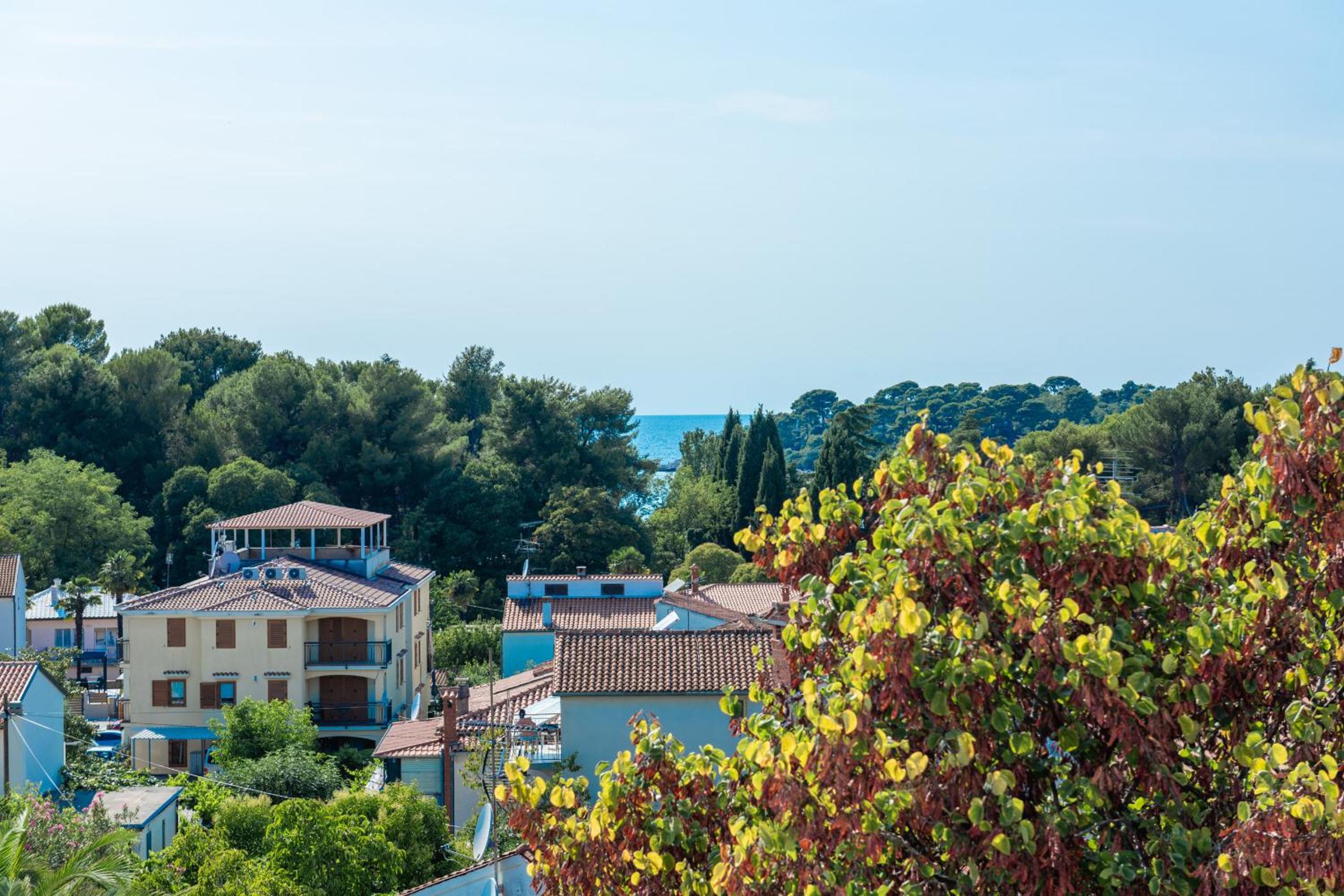 Premium Apartment Noelle view 2