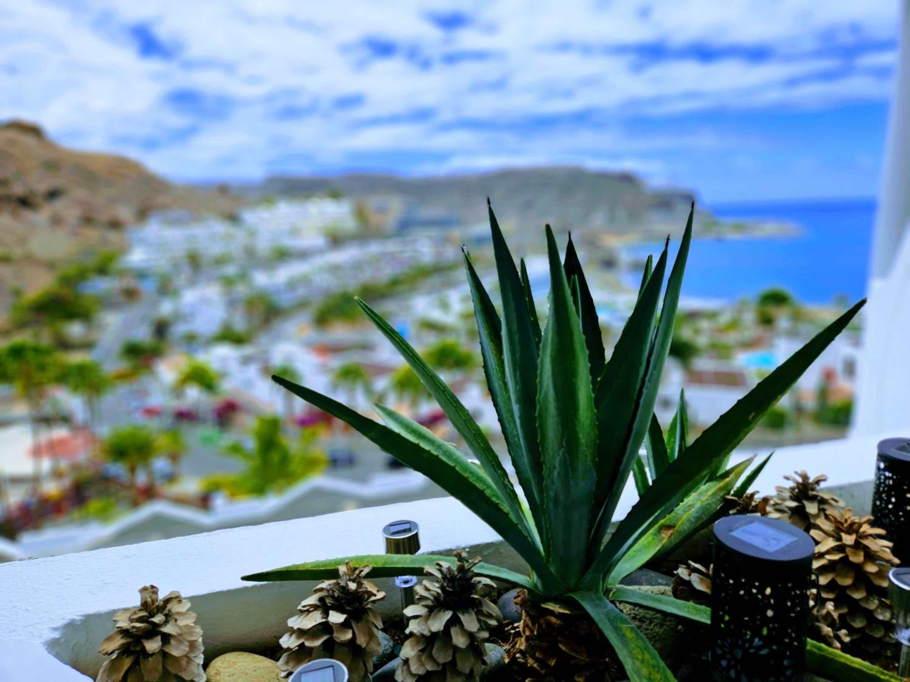 Top Flor Ocean View