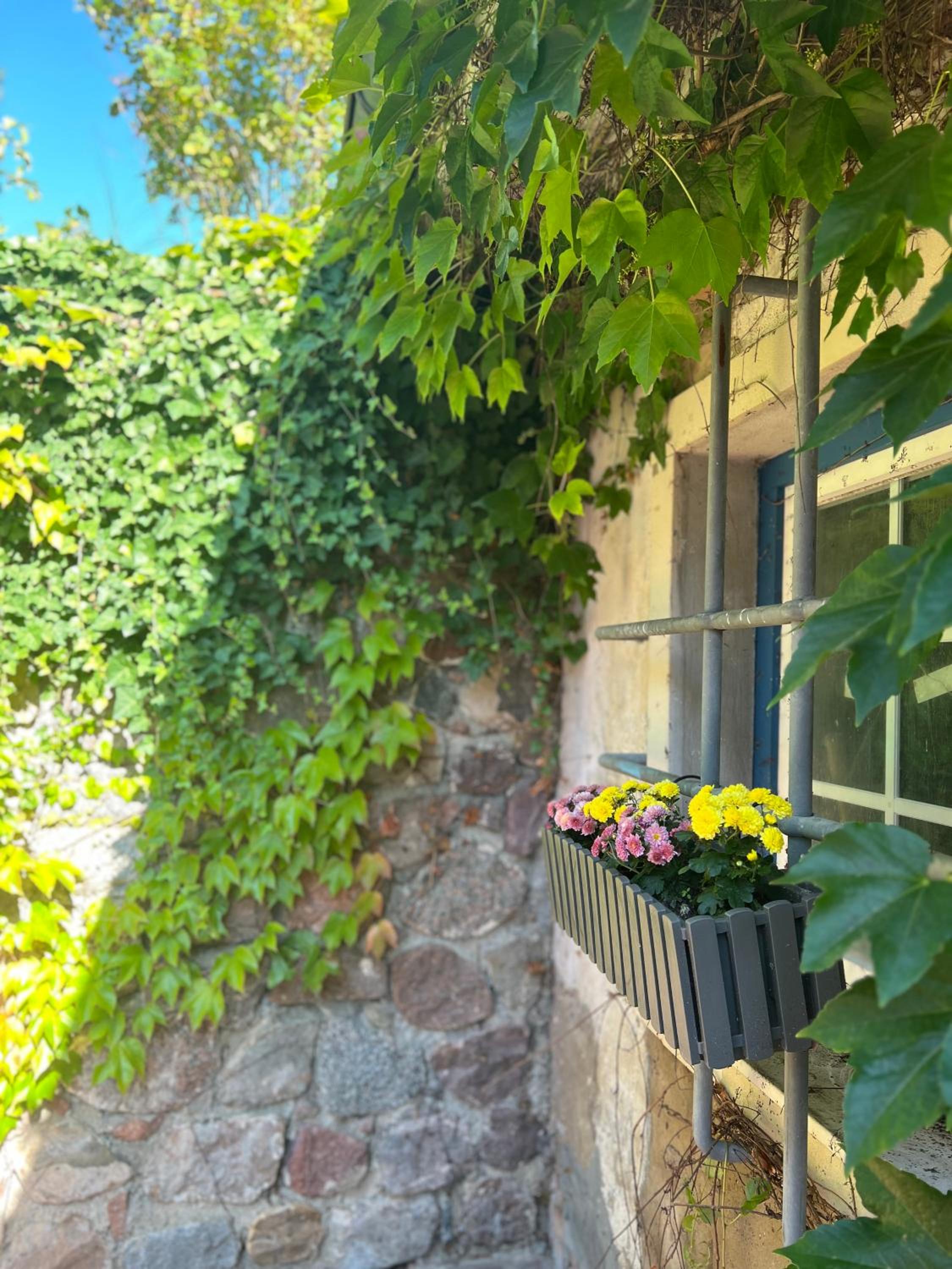 Landhaus am See Flecken Zechlin