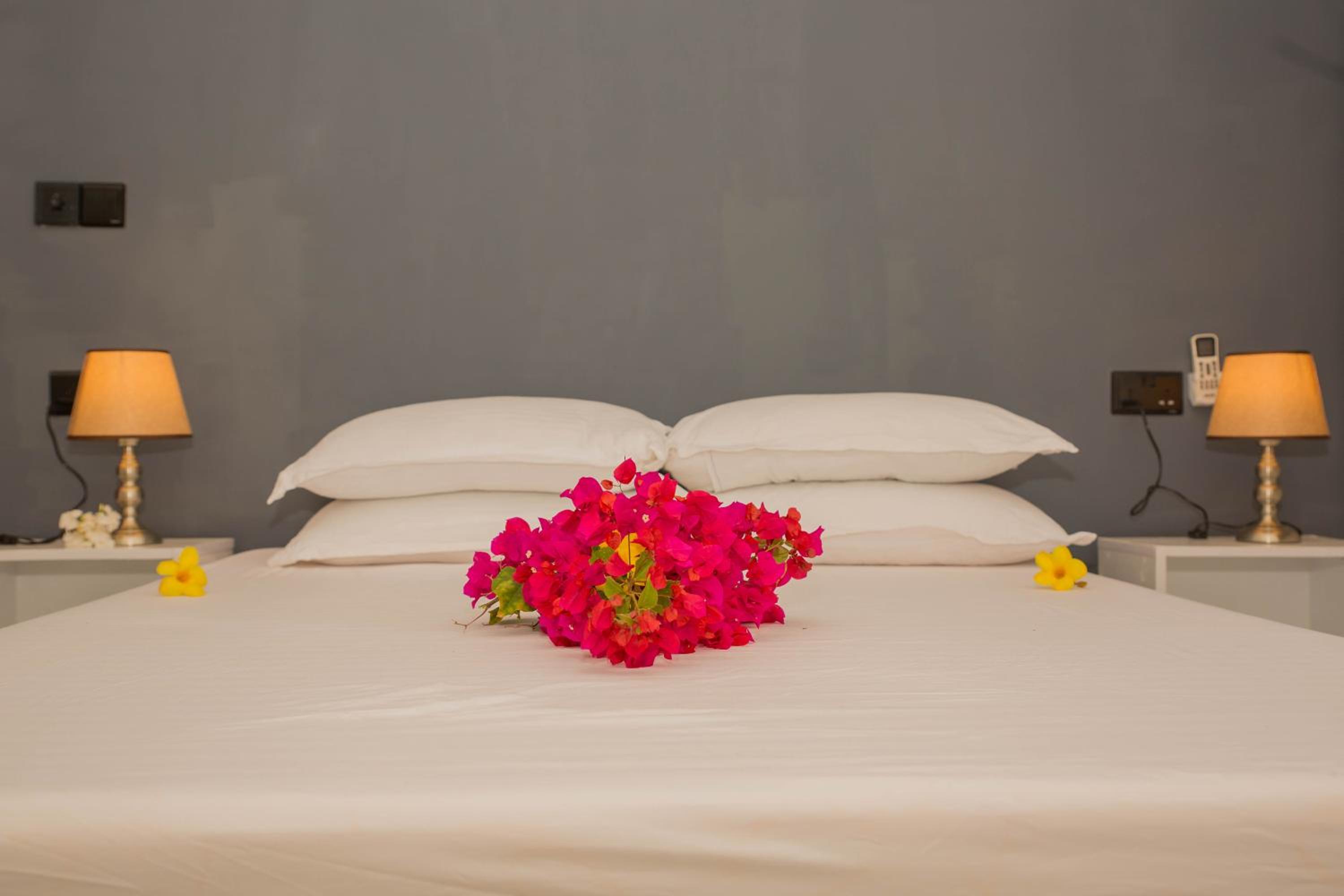 Velidhoo Inn photo 2