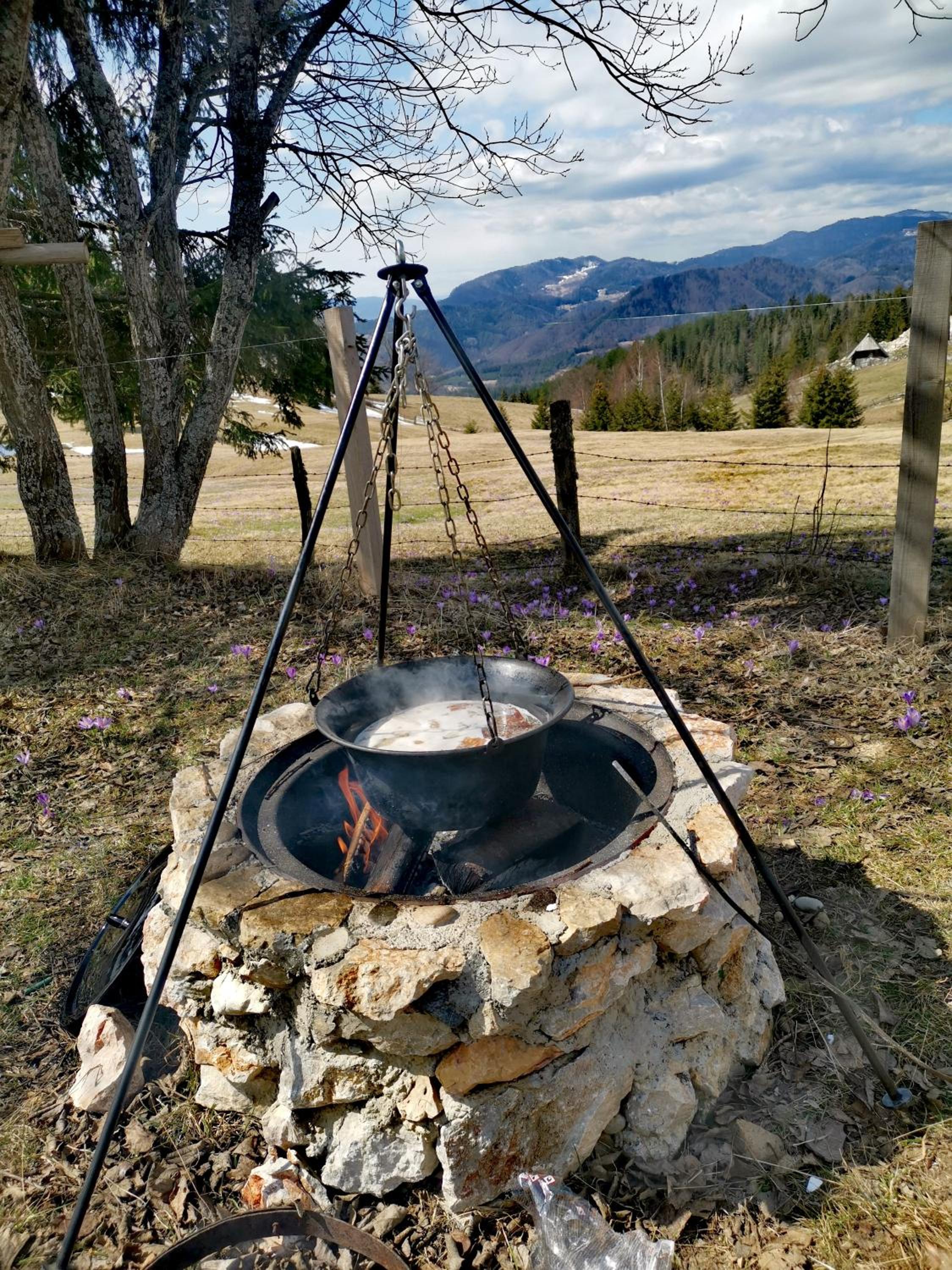 Tarskasipa