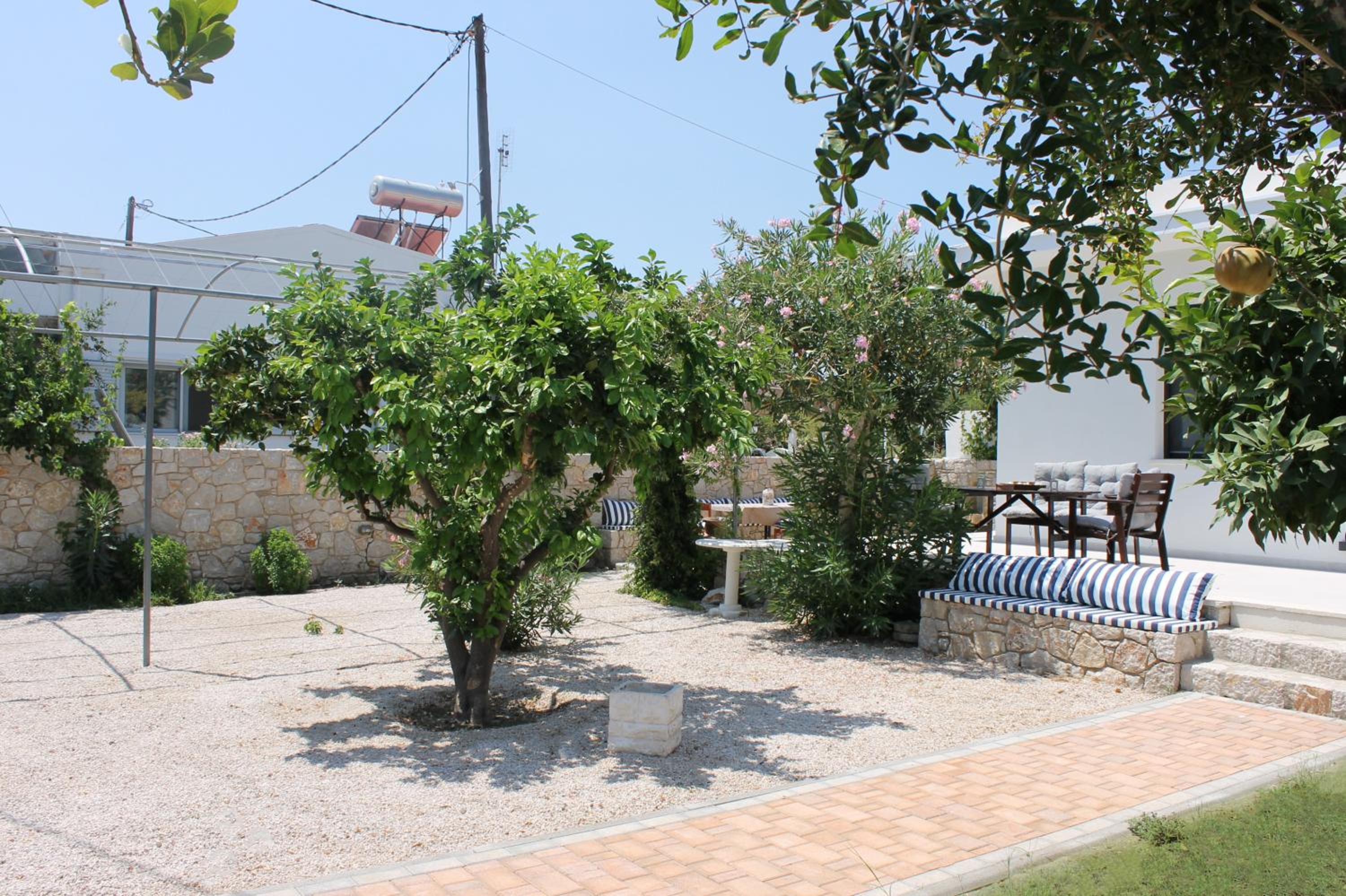 Photo 7