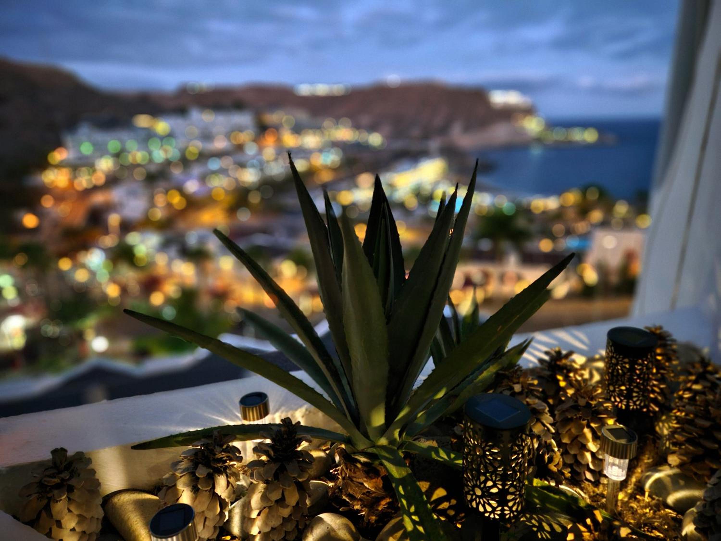 Top Flor Ocean View