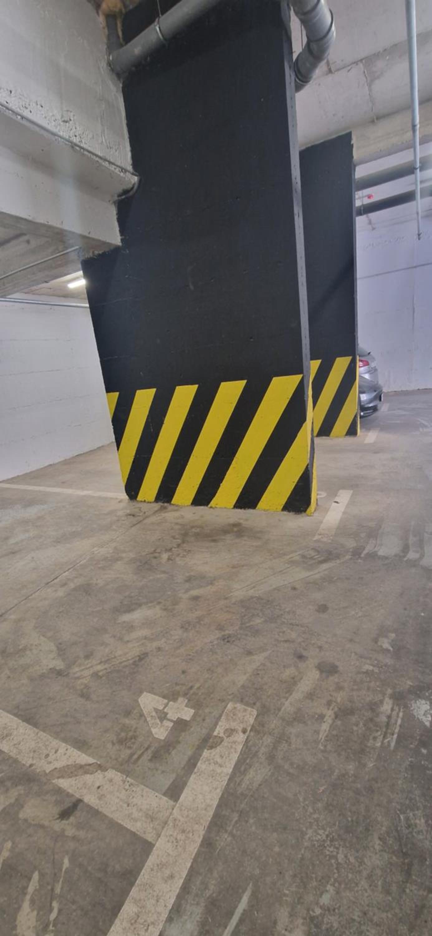 Plava orhideja apartman