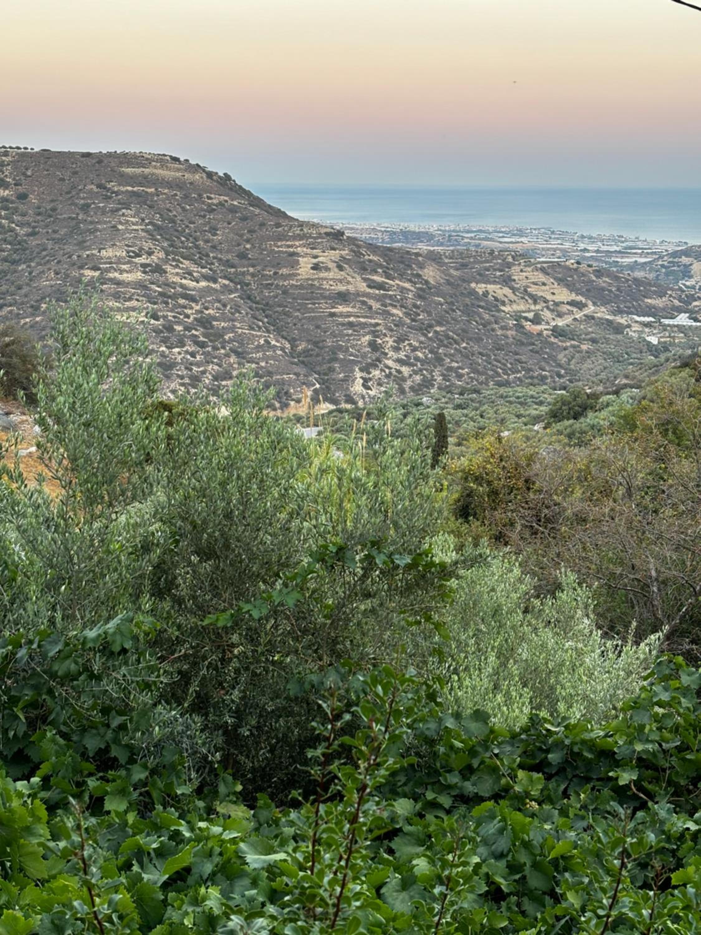 Elis superb villa view 2