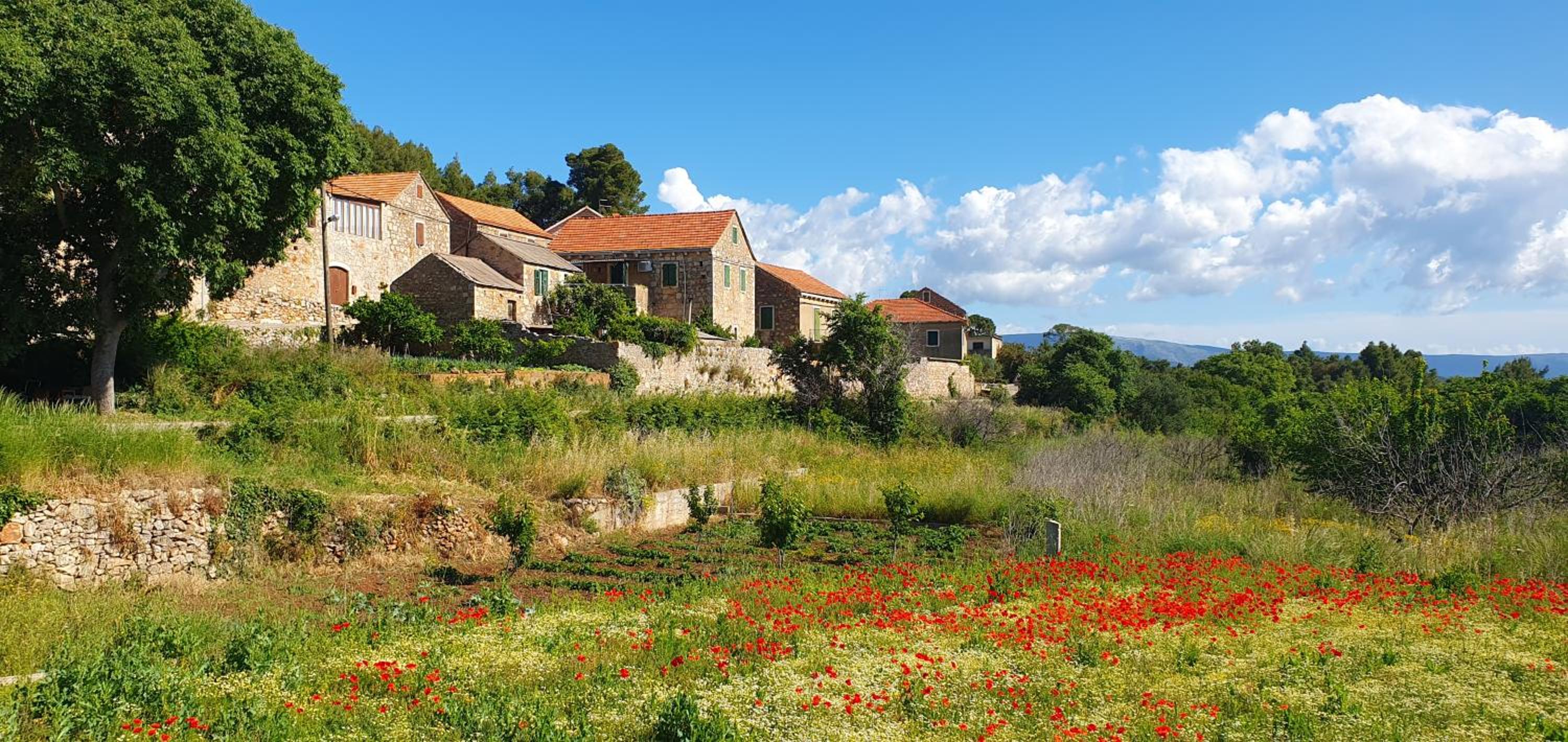 Hvar Stone Villa with pool