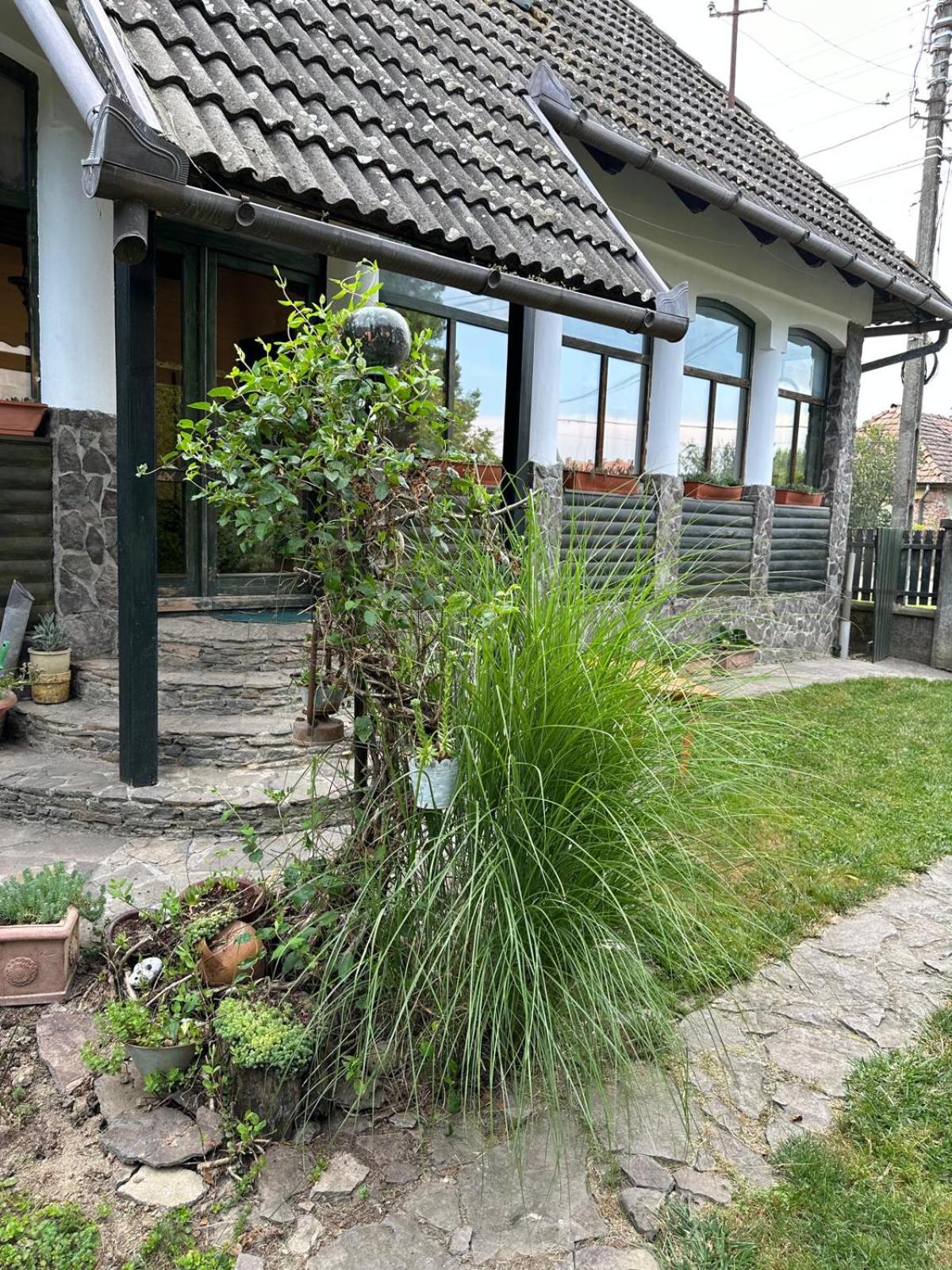 Rusty Key Cottage, Transylvania view 3