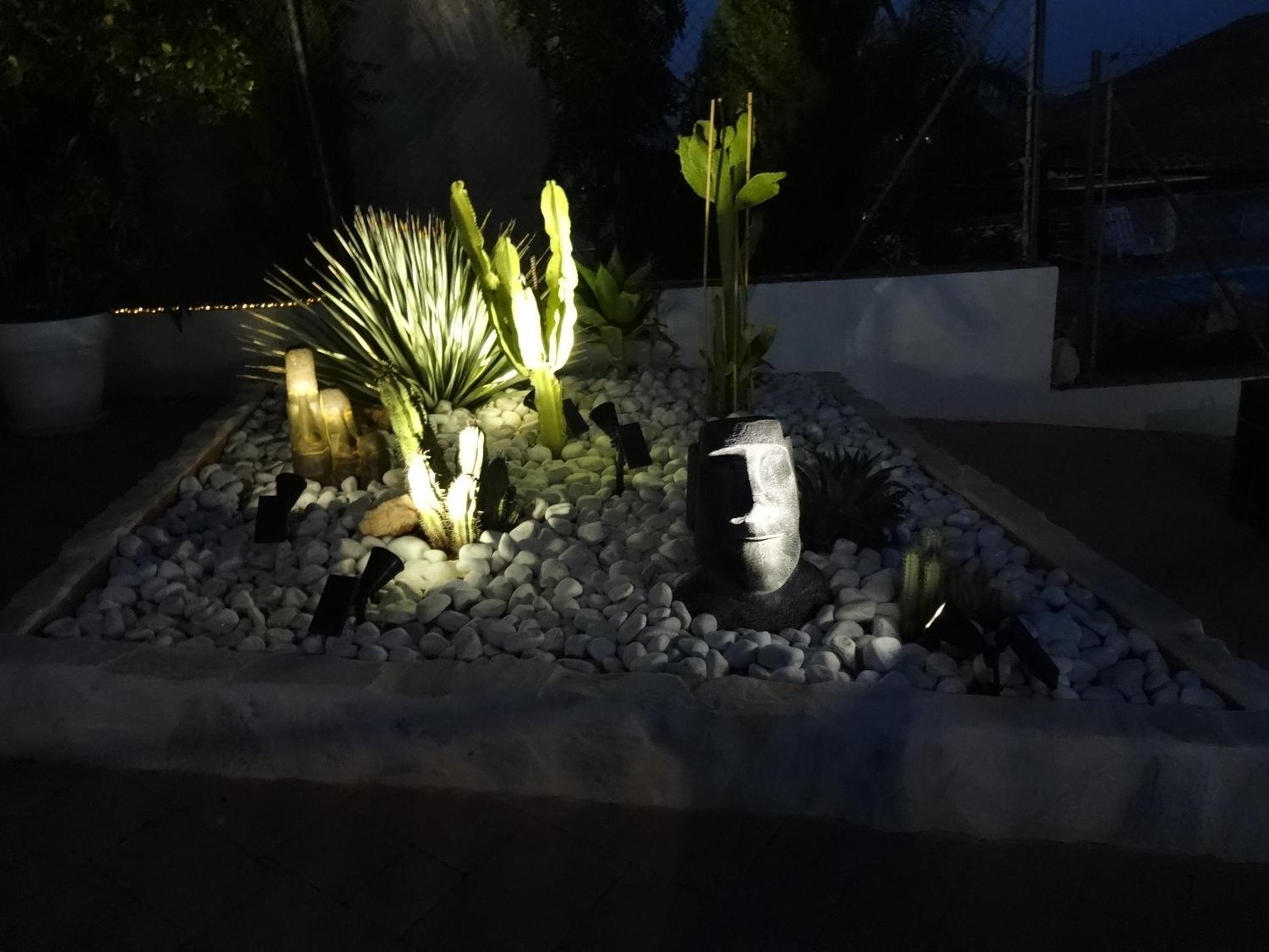 Photo 46