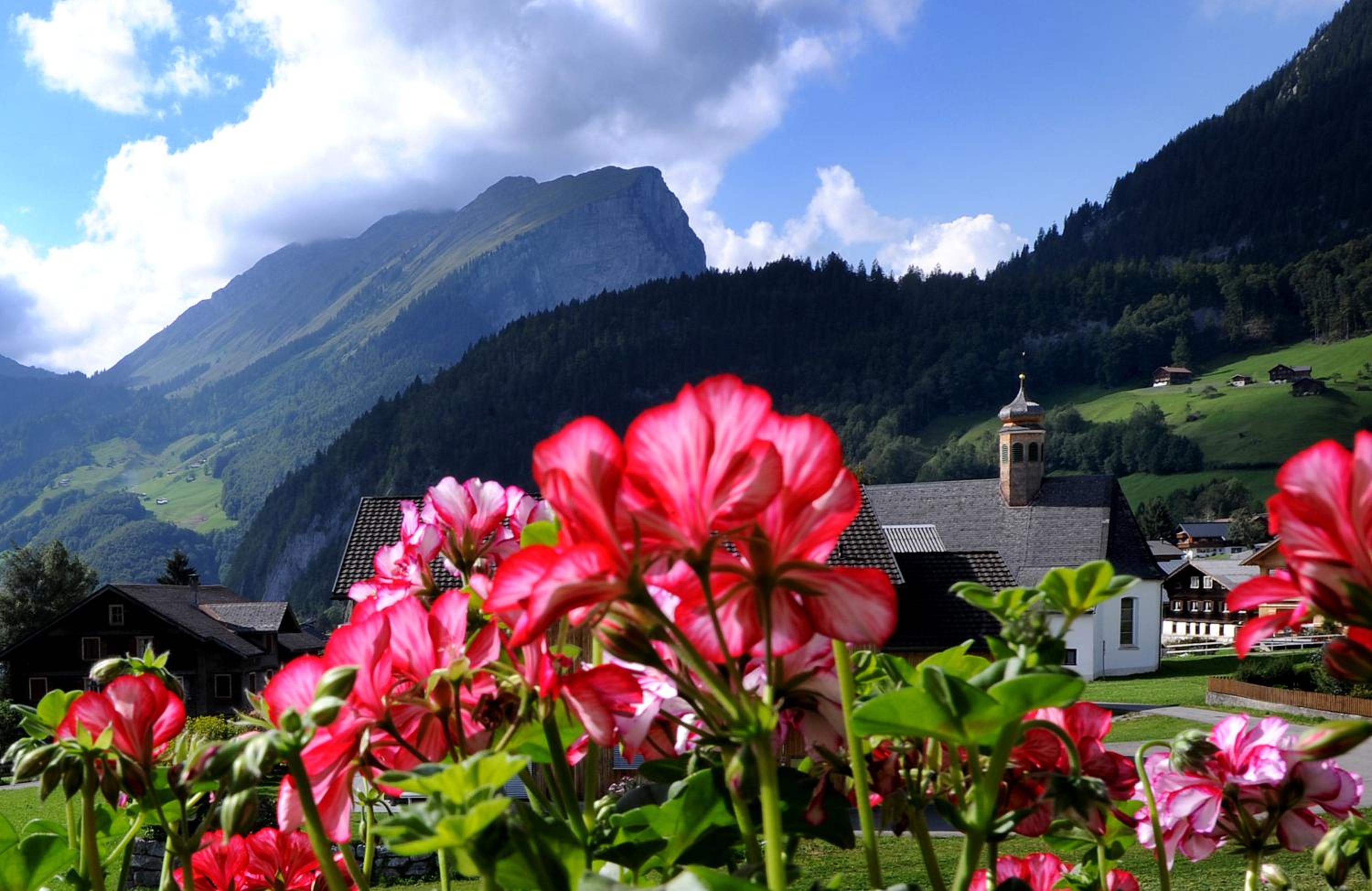 Haus Alpina