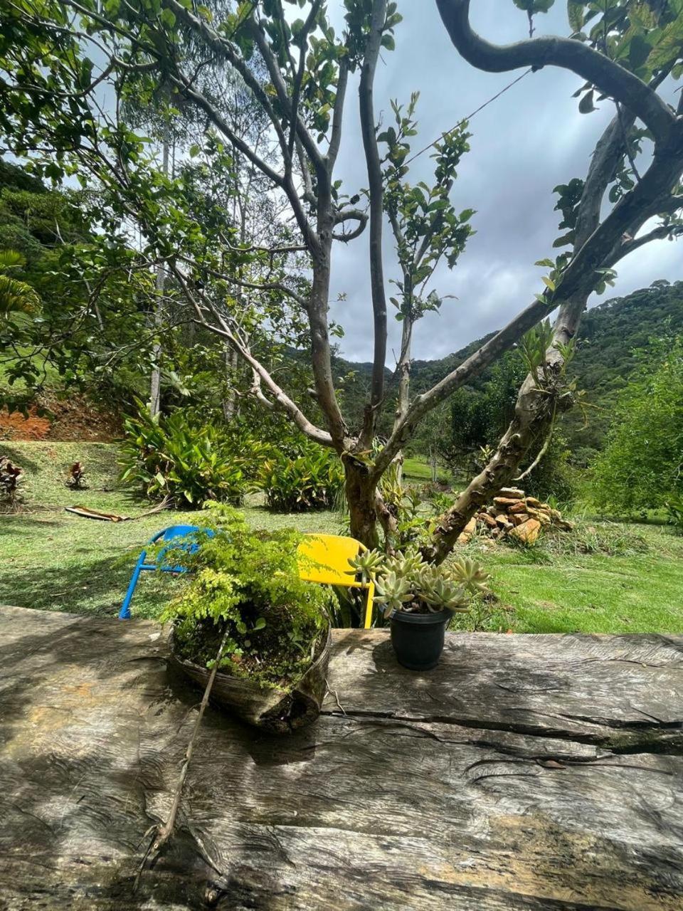 Vale das Quaresmeiras