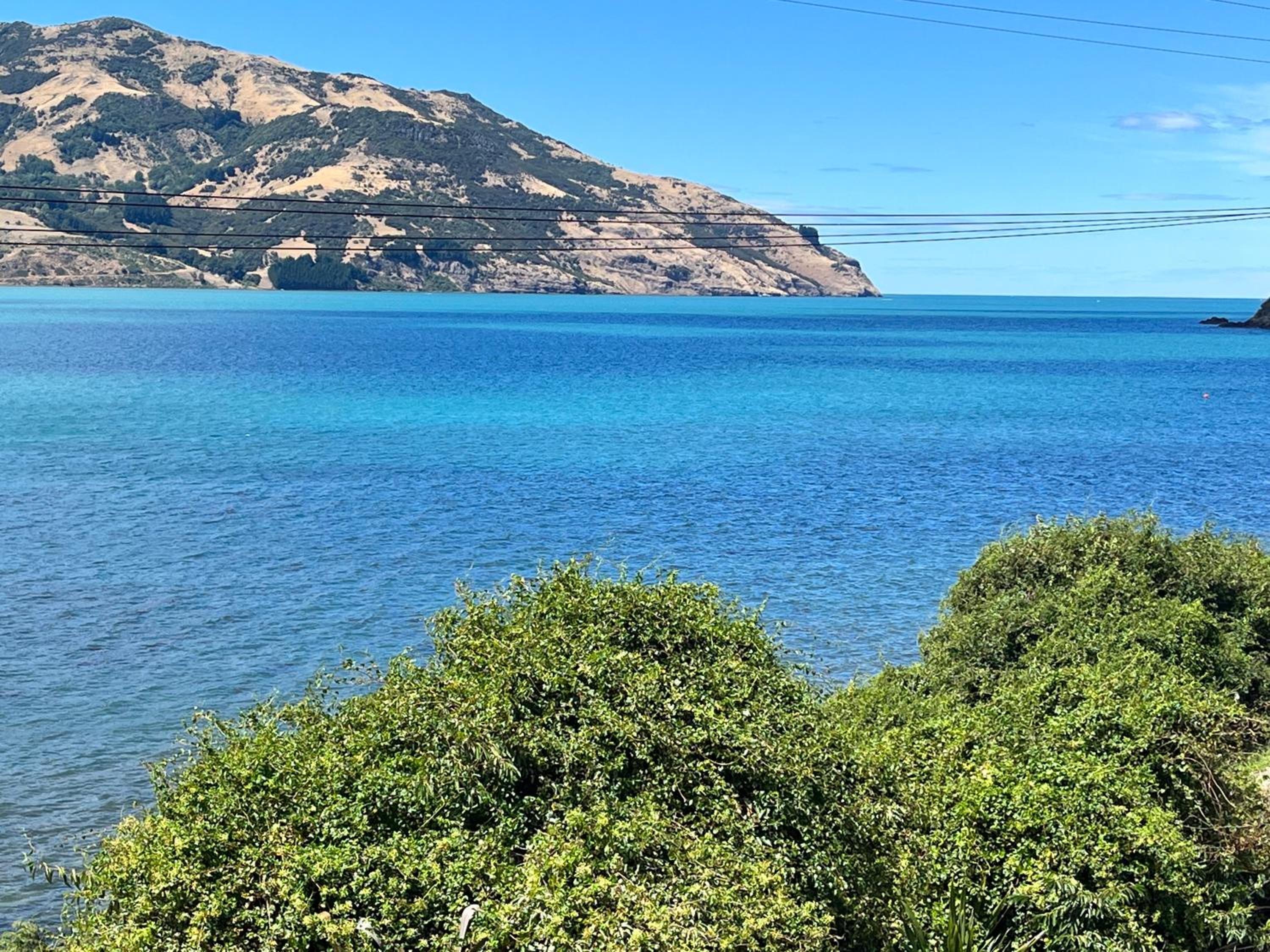 Piwakawaka Retreat view 3