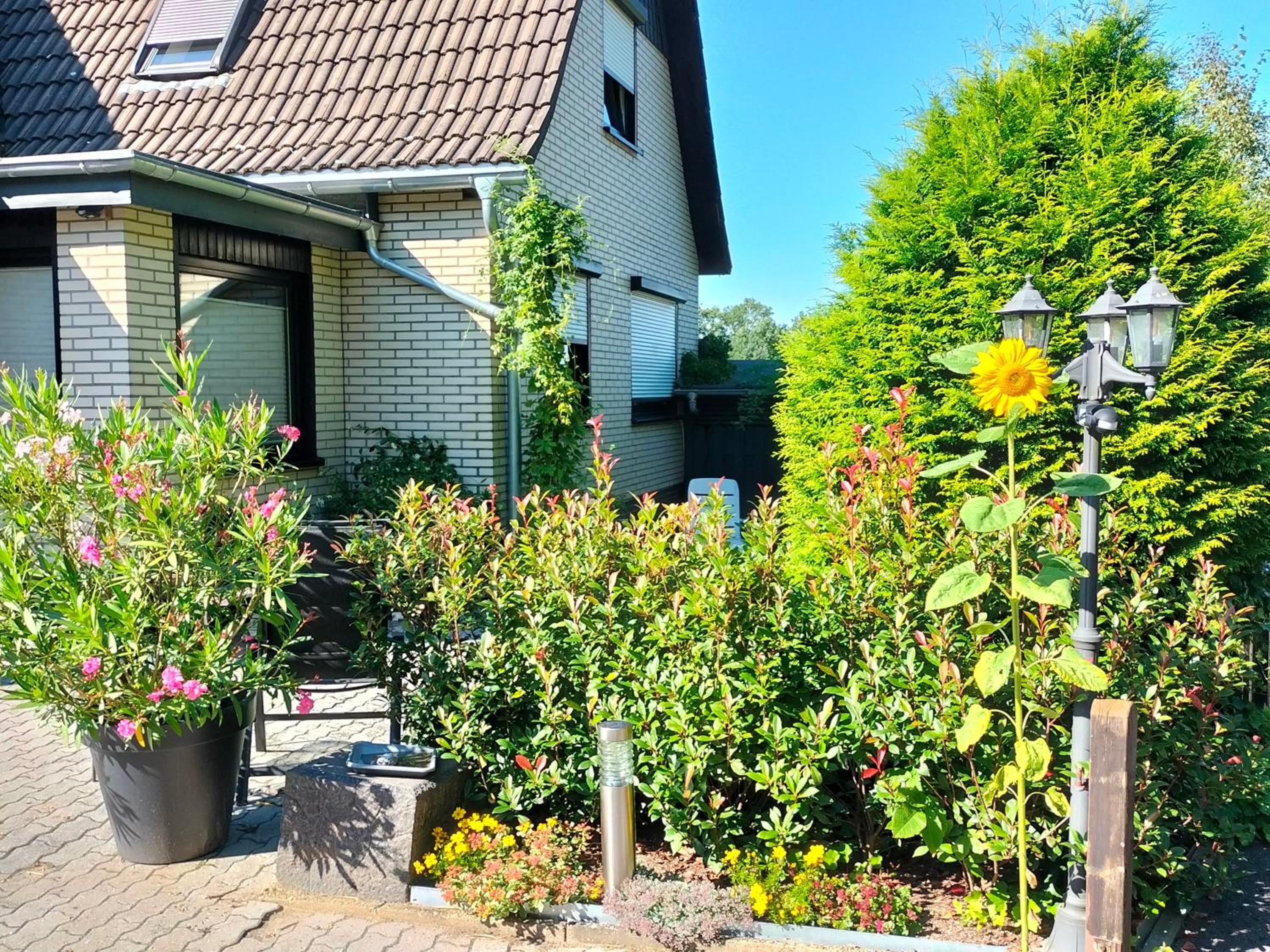 Ferienwohnung am Waldrand