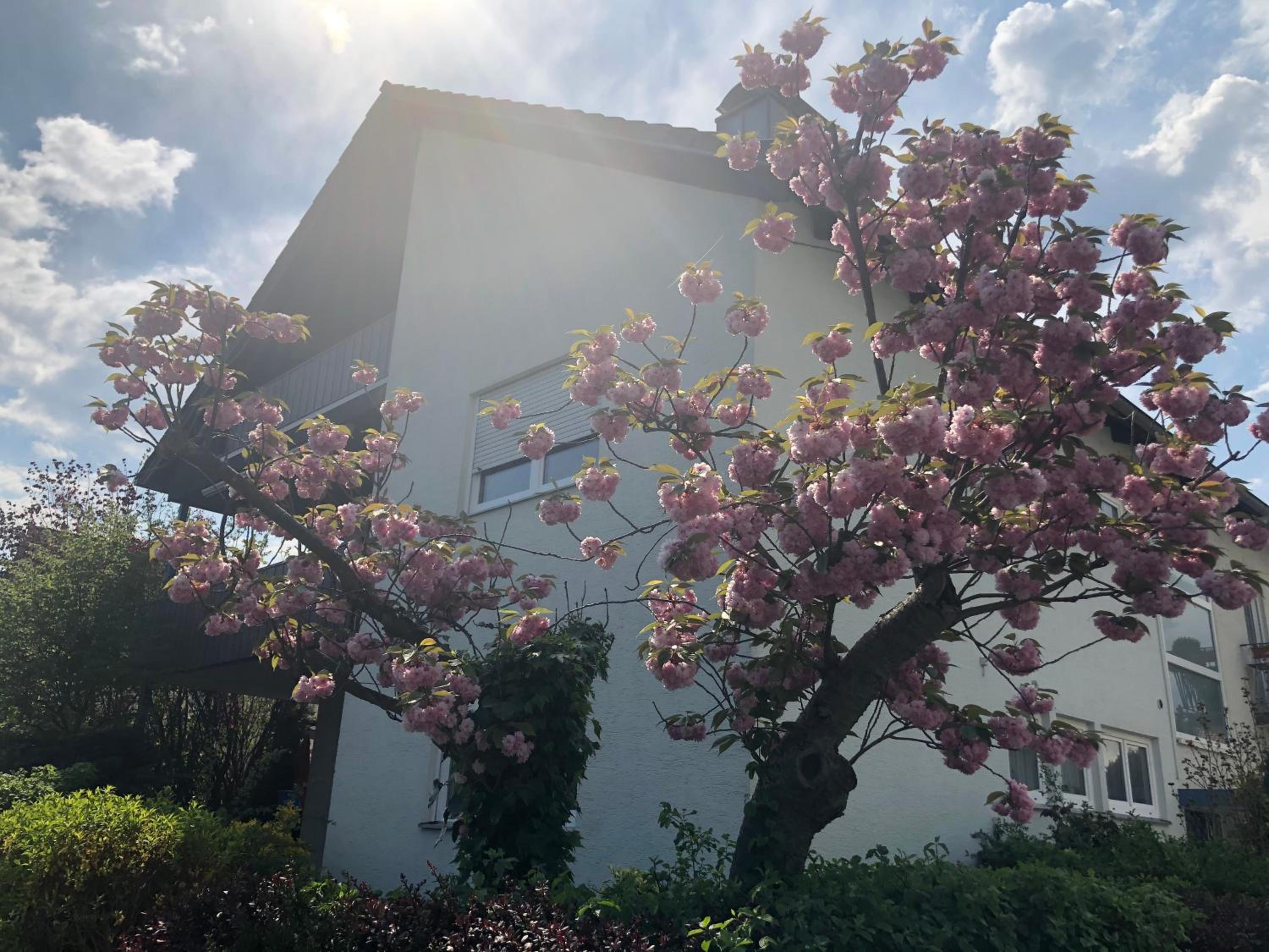 Daheim am Wasserturm - Wörth