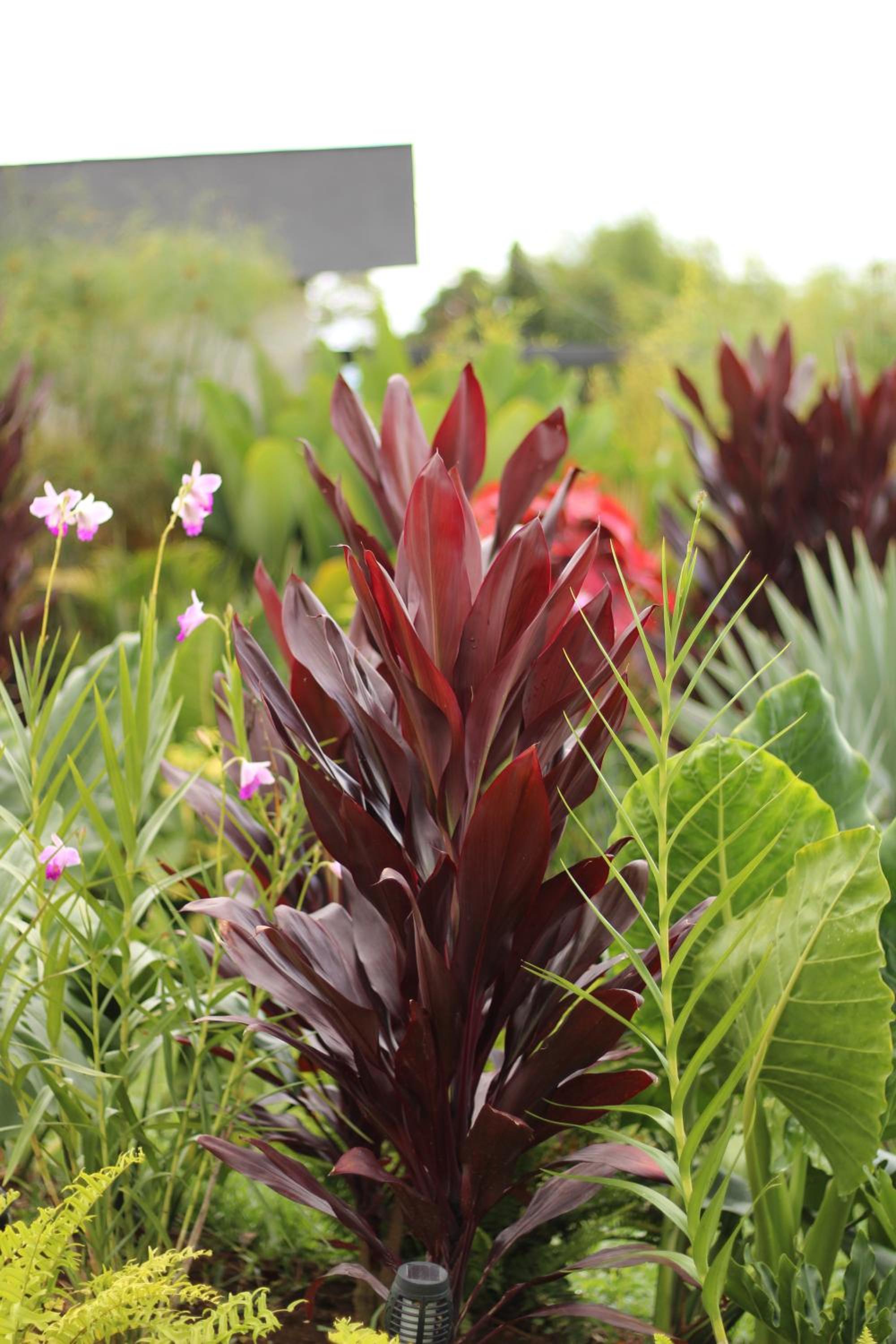 La Font Ecolodge