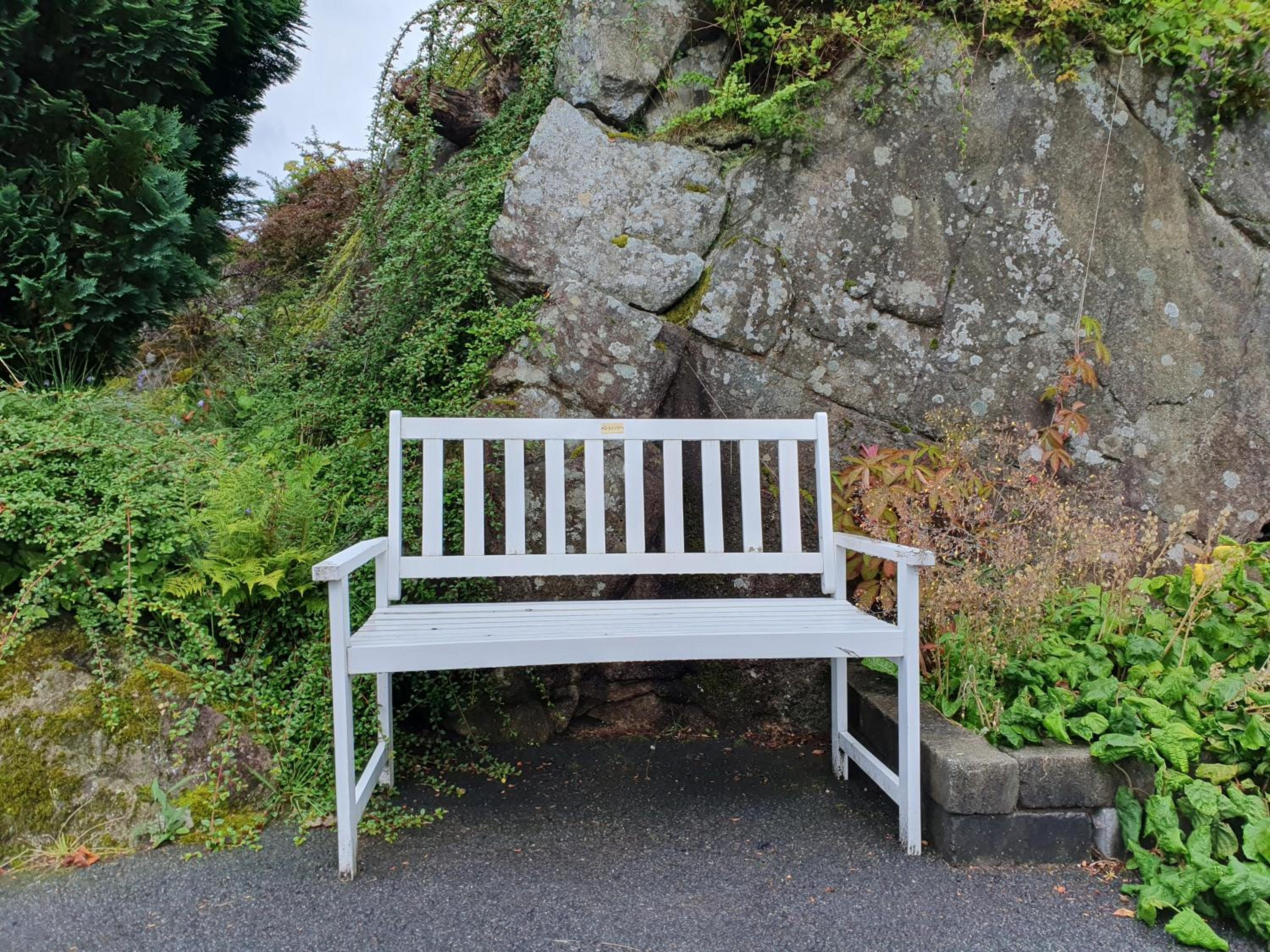 Photo 17