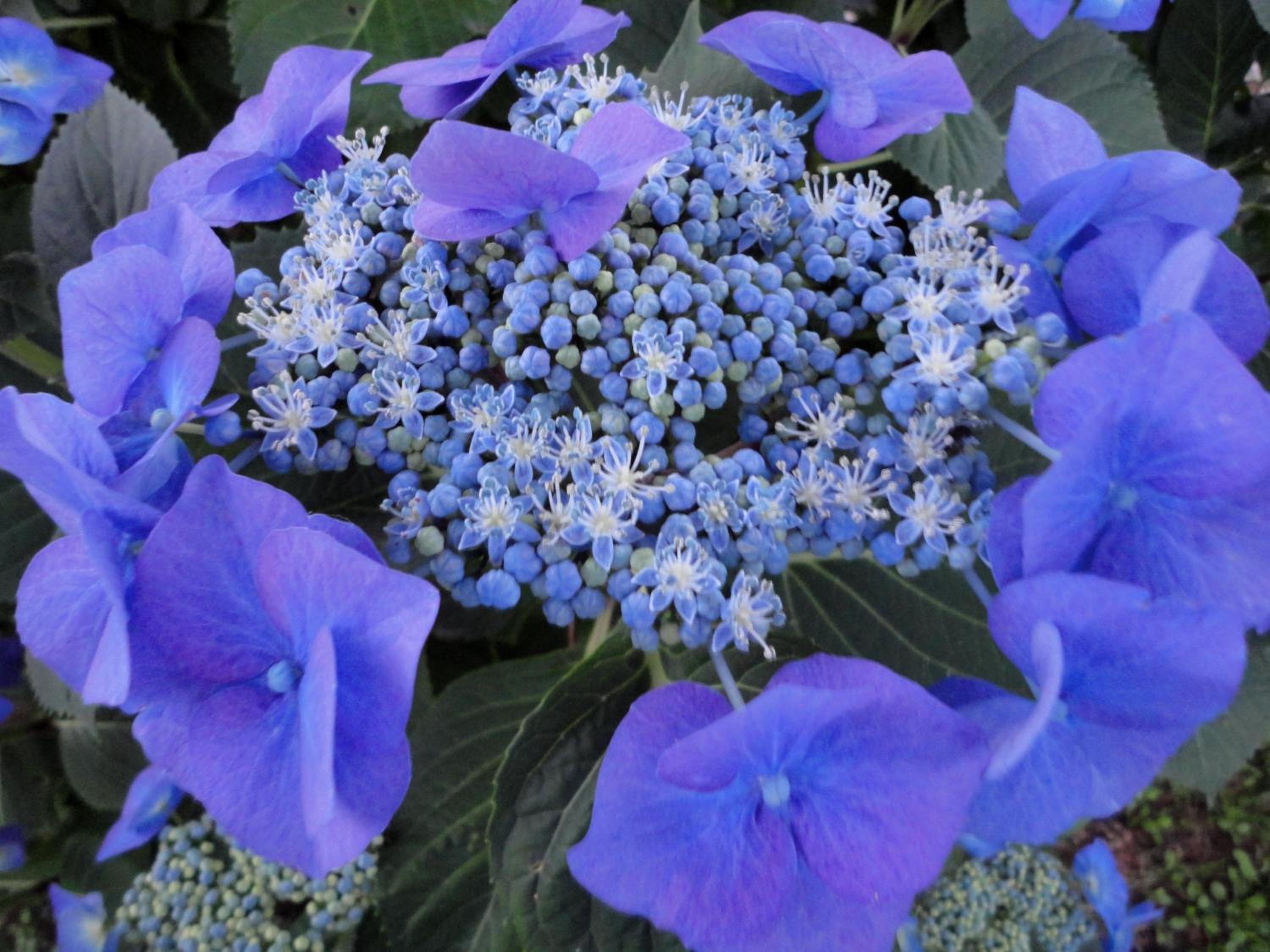 Photo 46