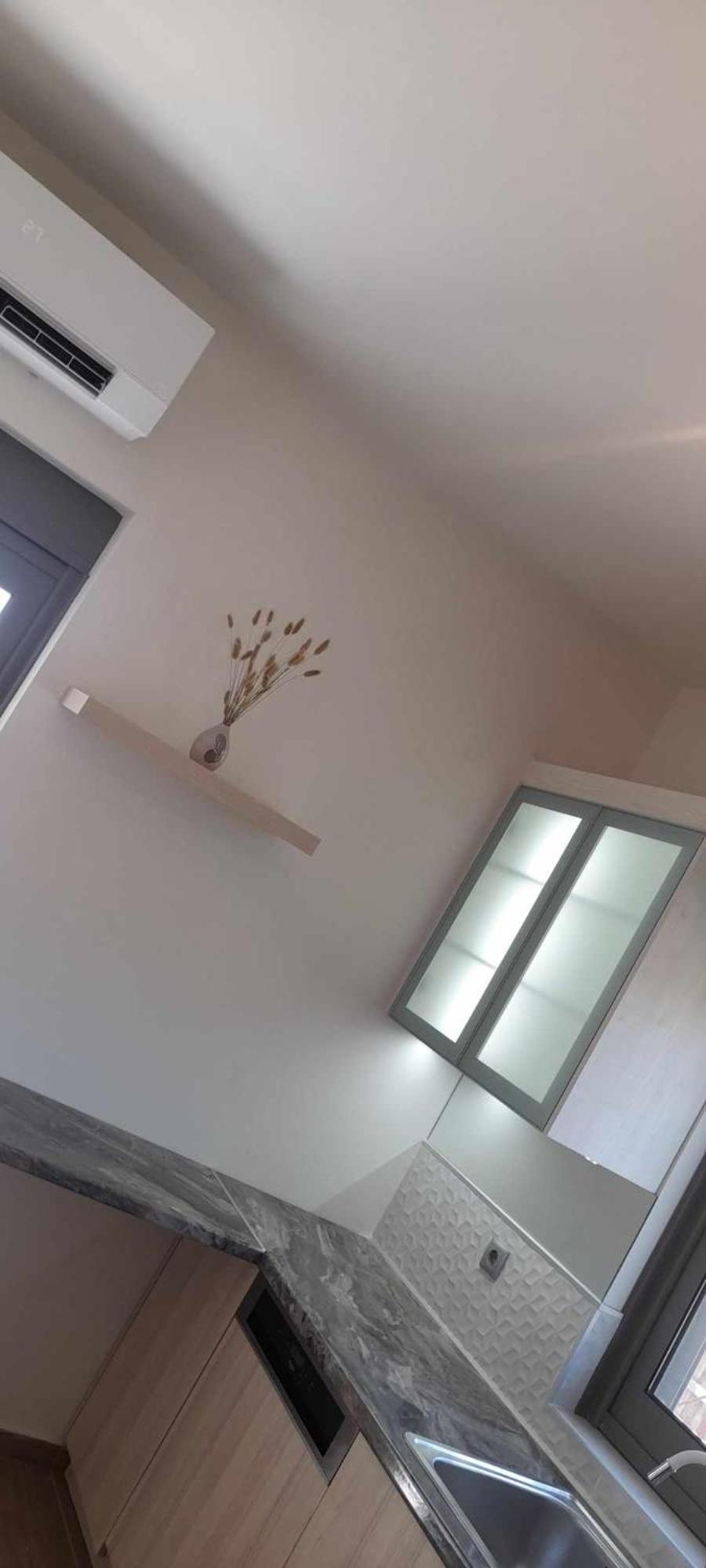 Balance Suite